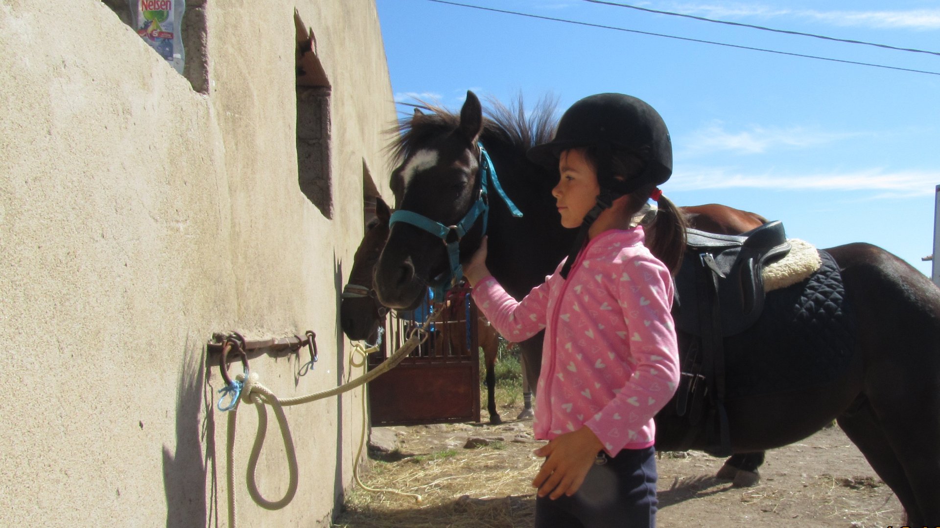 Castelsardo: horseback in Sedini - Photo 9