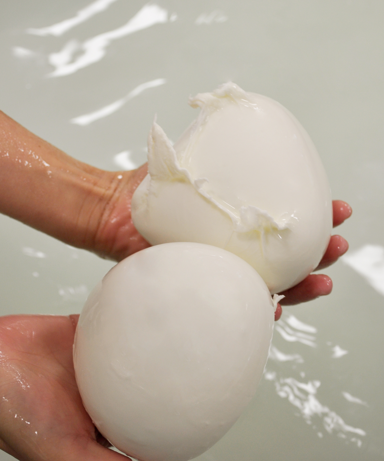 Vannulo Buffalo Farm & Paestum Archaeological Park Private Tour 