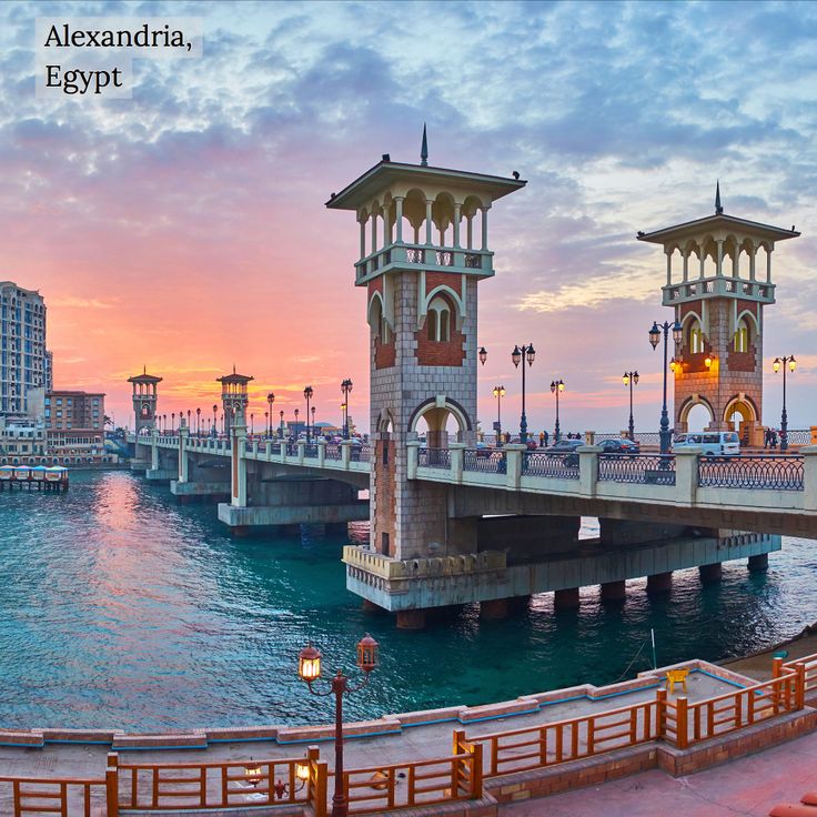 Trip to Alexanderia Tour from Alexanderia Port
