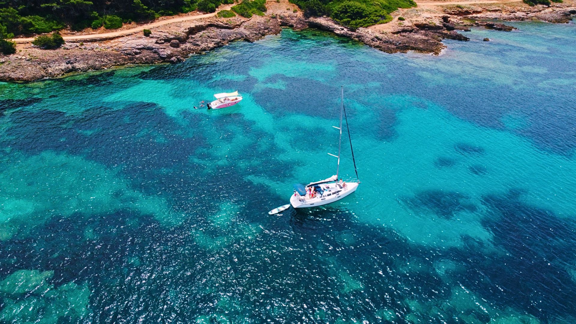 From Alghero: sailing tour in the Porto Conte Park - Photo 21
