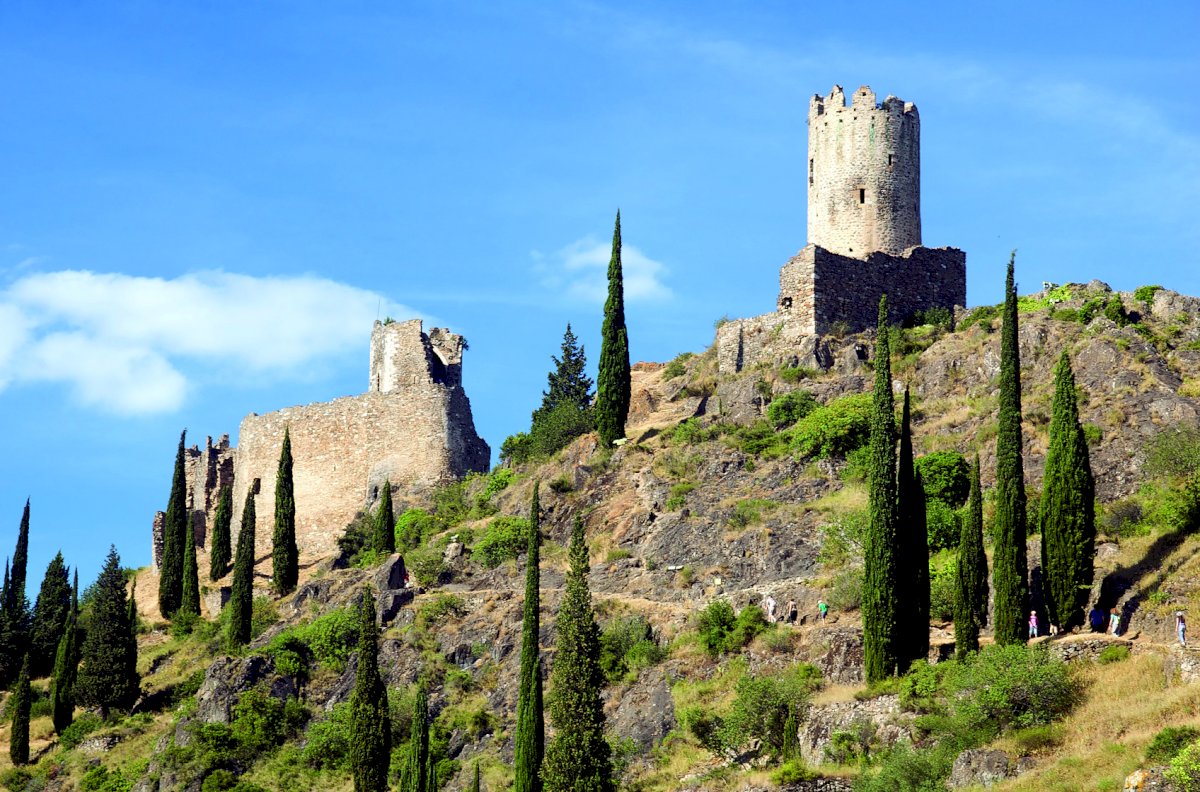 Private Excursion: Carcassonne & Languedoc Wine Tour from Port Vendres