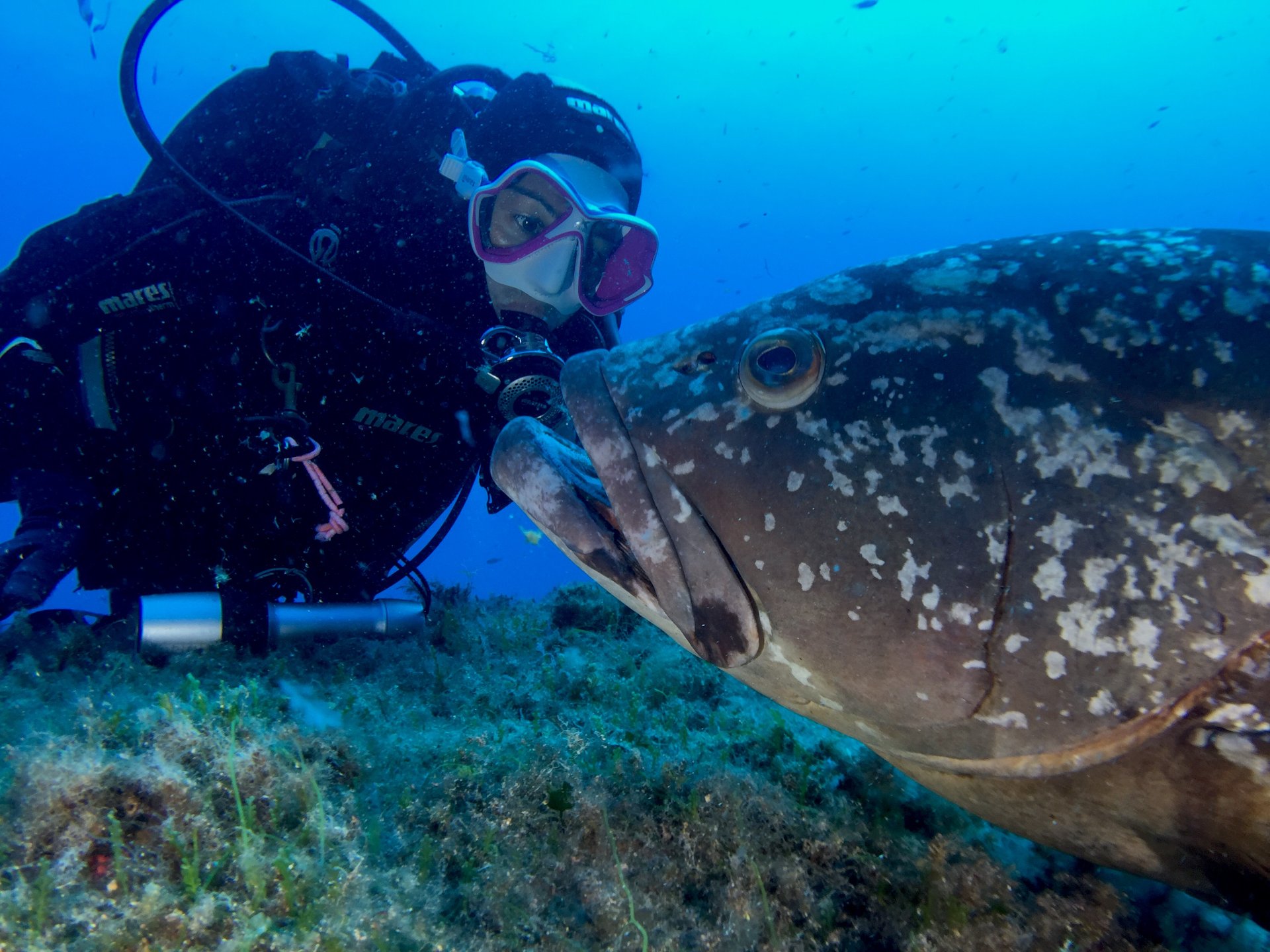 Bosa: diving baptism - Photo 19