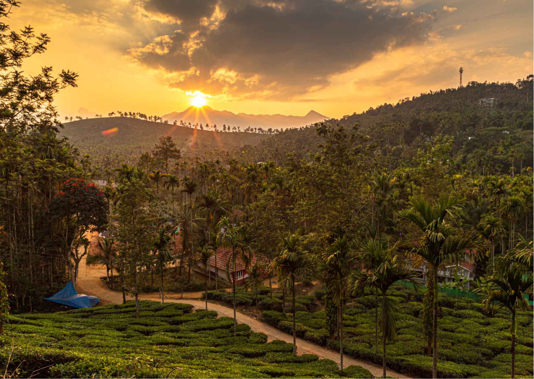Day Trip to Wayanad (Guided Private Sightseeing Experience from Mysore) - Photo 8