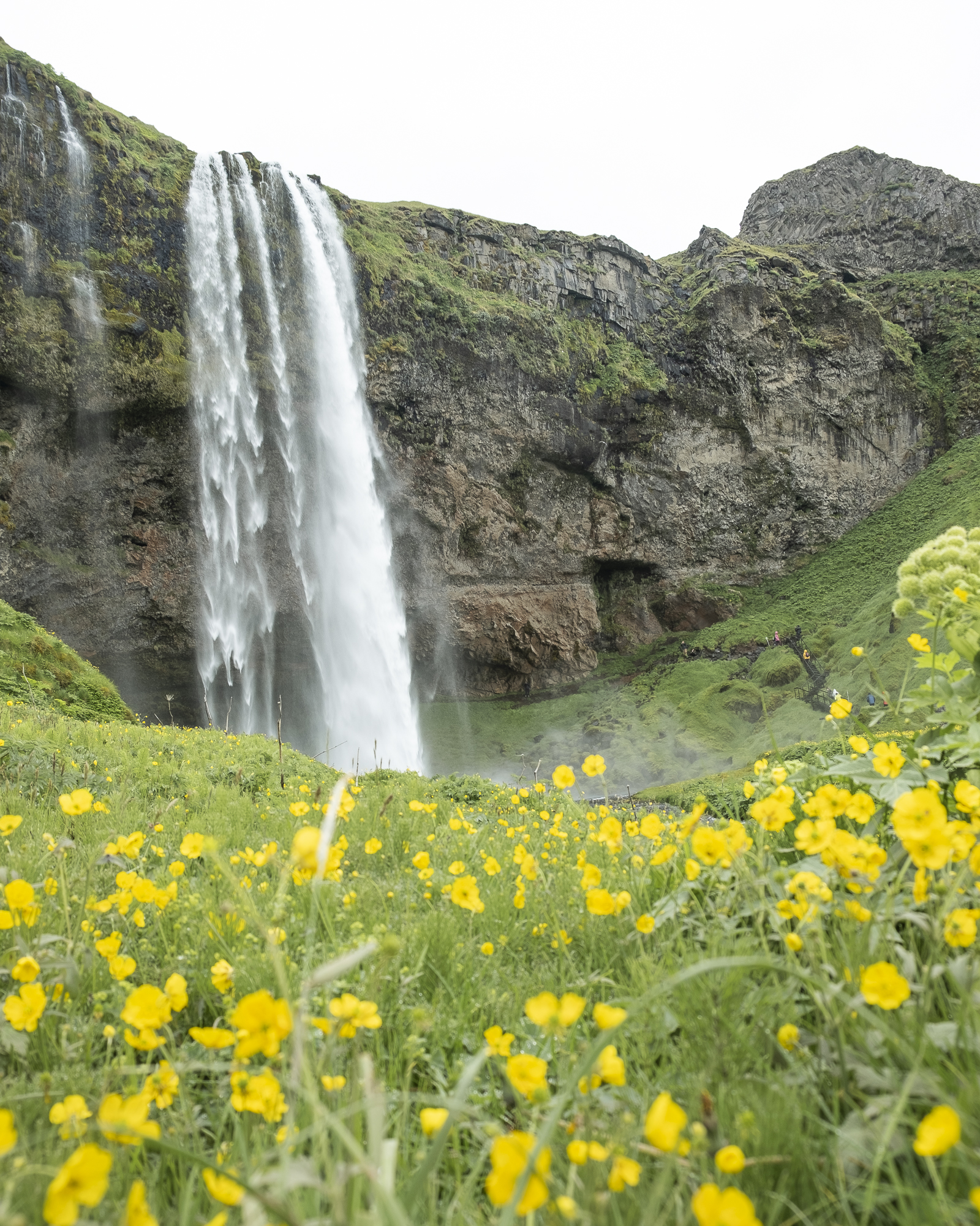 South Coast & Black Sand Horse Riding Tour - photo 14