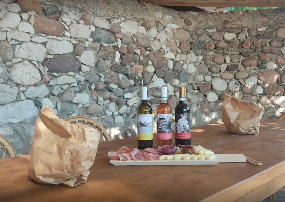 Vineyard tour and tasting of Garda Wines in Cavaion Veronese - Photo 15