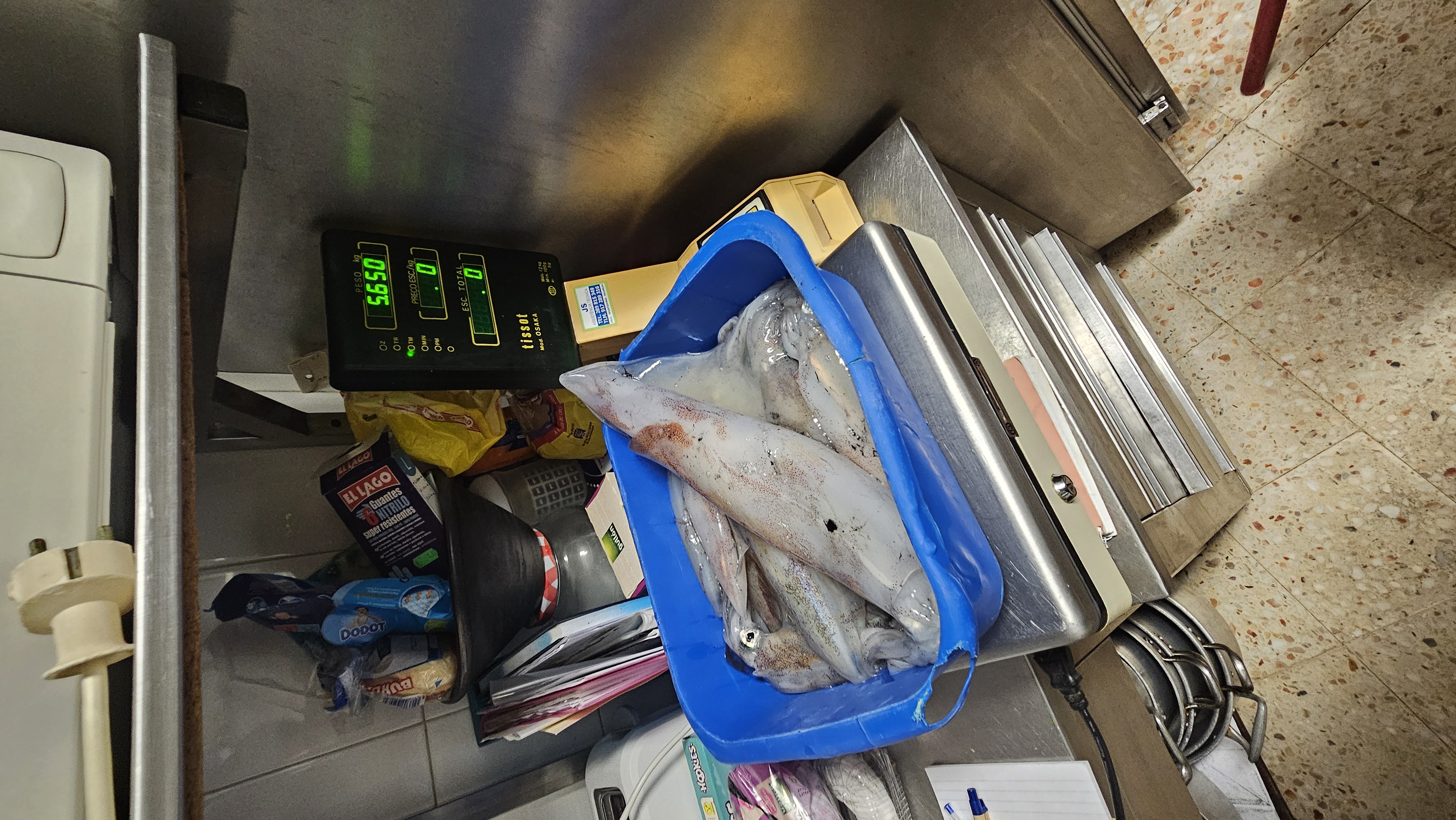 SQUID FISHING EXPERIENCE (5:00) – photo 5