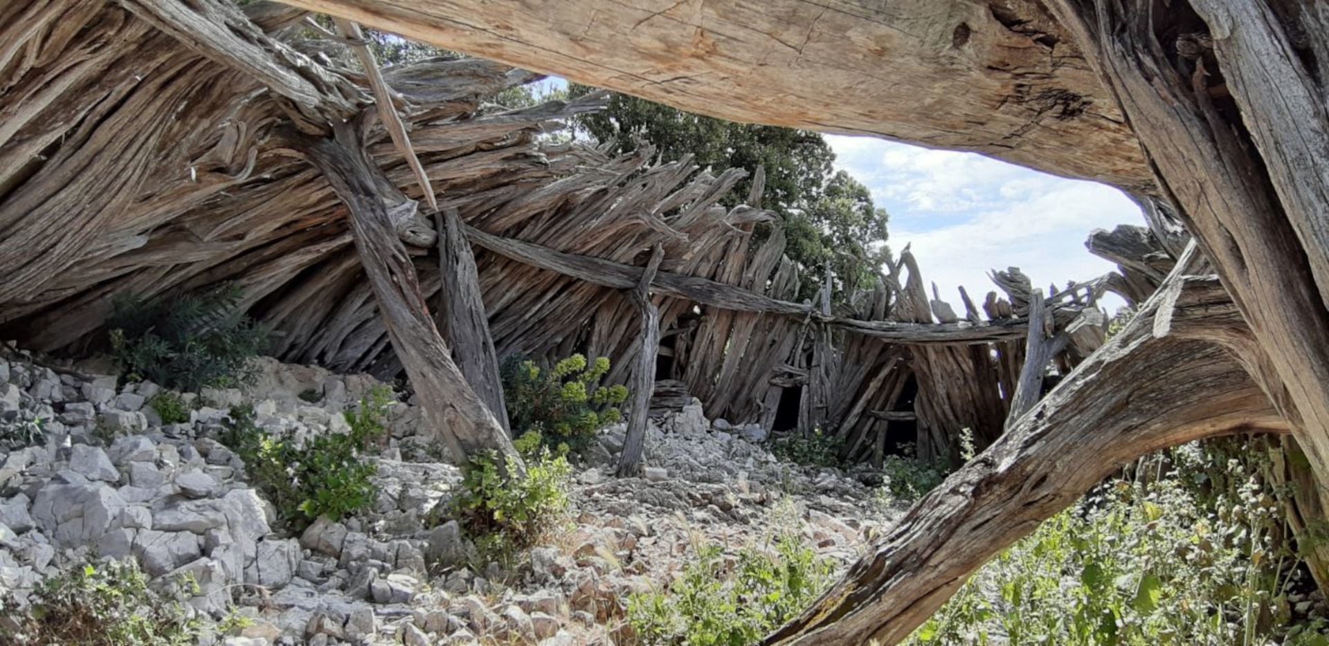 From Baunei: trekking to Cala Mariolu - Photo 20