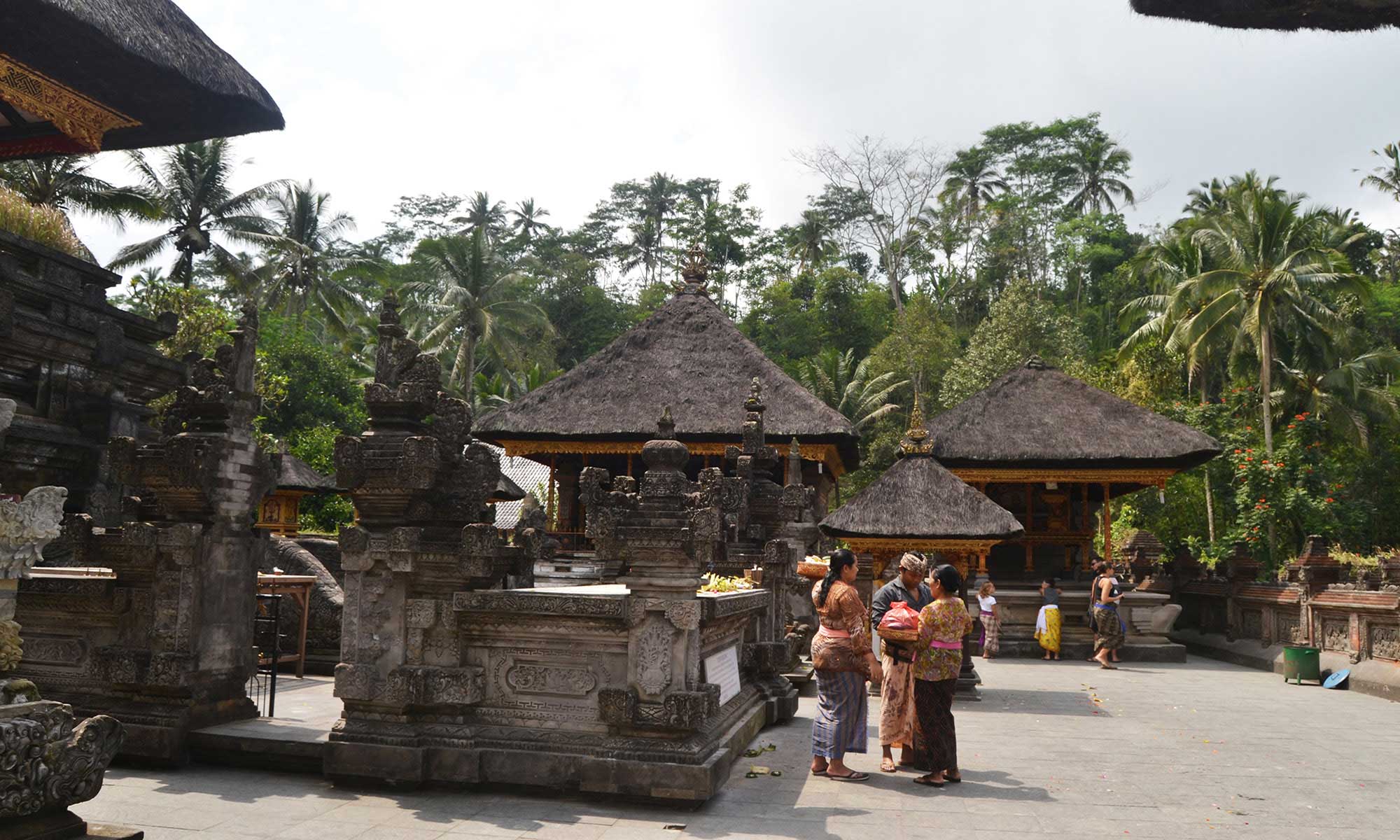 Best of Ubud : Monkey forest - Swing - Rice Terrace - Temple 