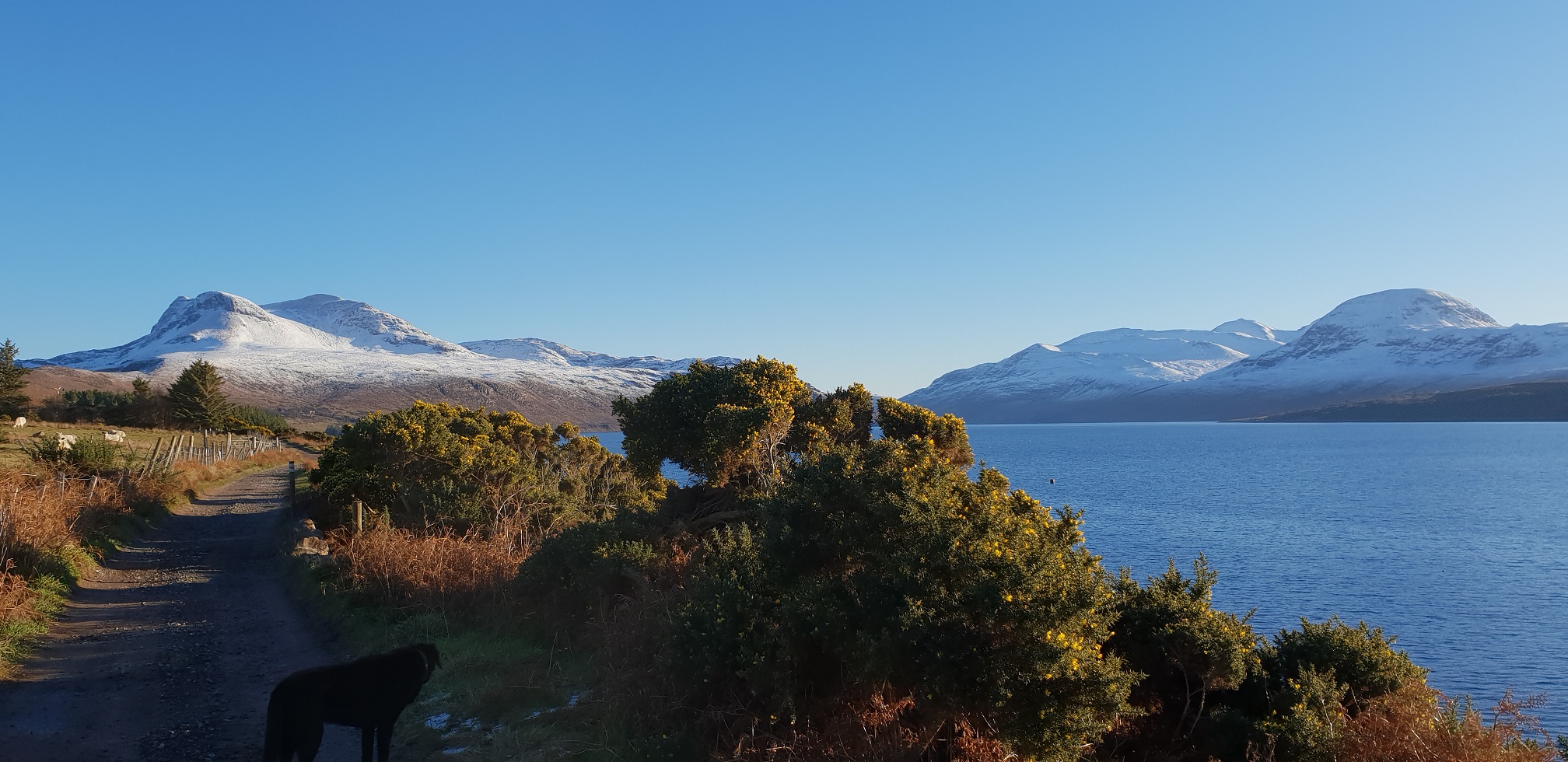 Walk the Scoraig Peninsula to Scoraig including boat journey - Photo 2