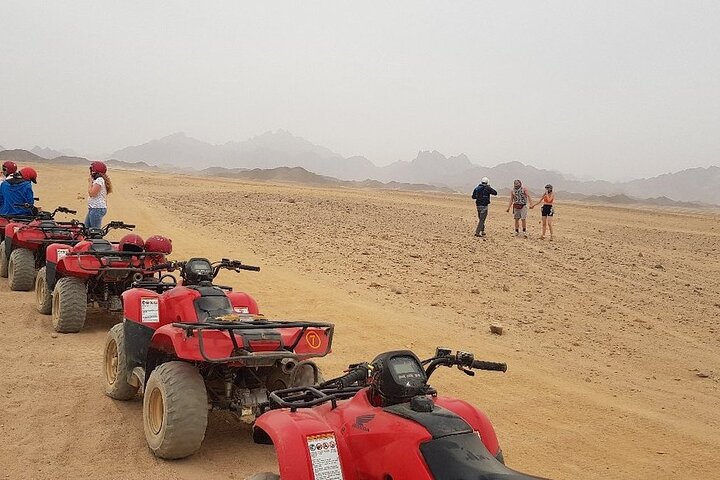 Beach Buggy Safari - 2