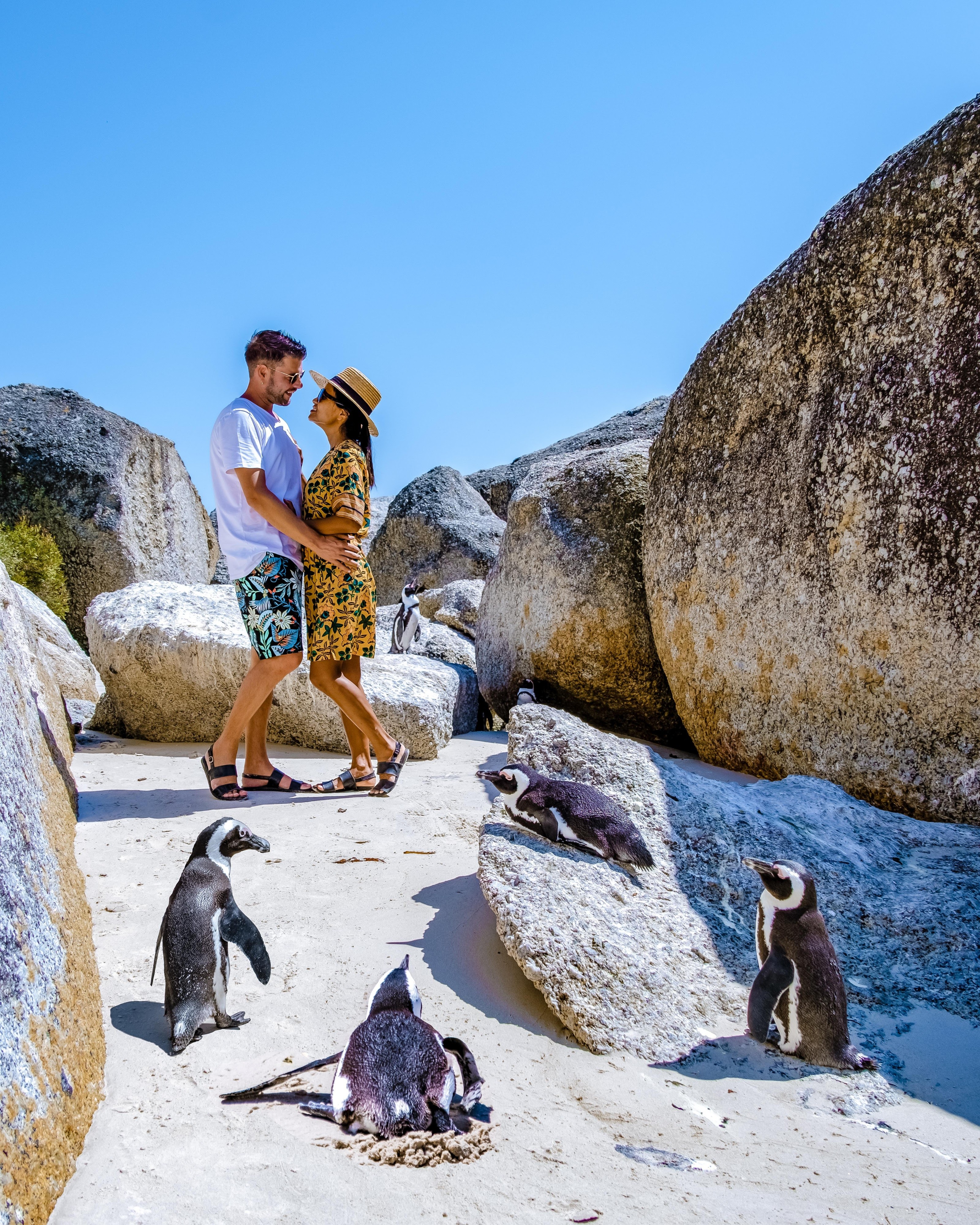 10 Days Cape Town & Surroundings: A September 2027 Experience