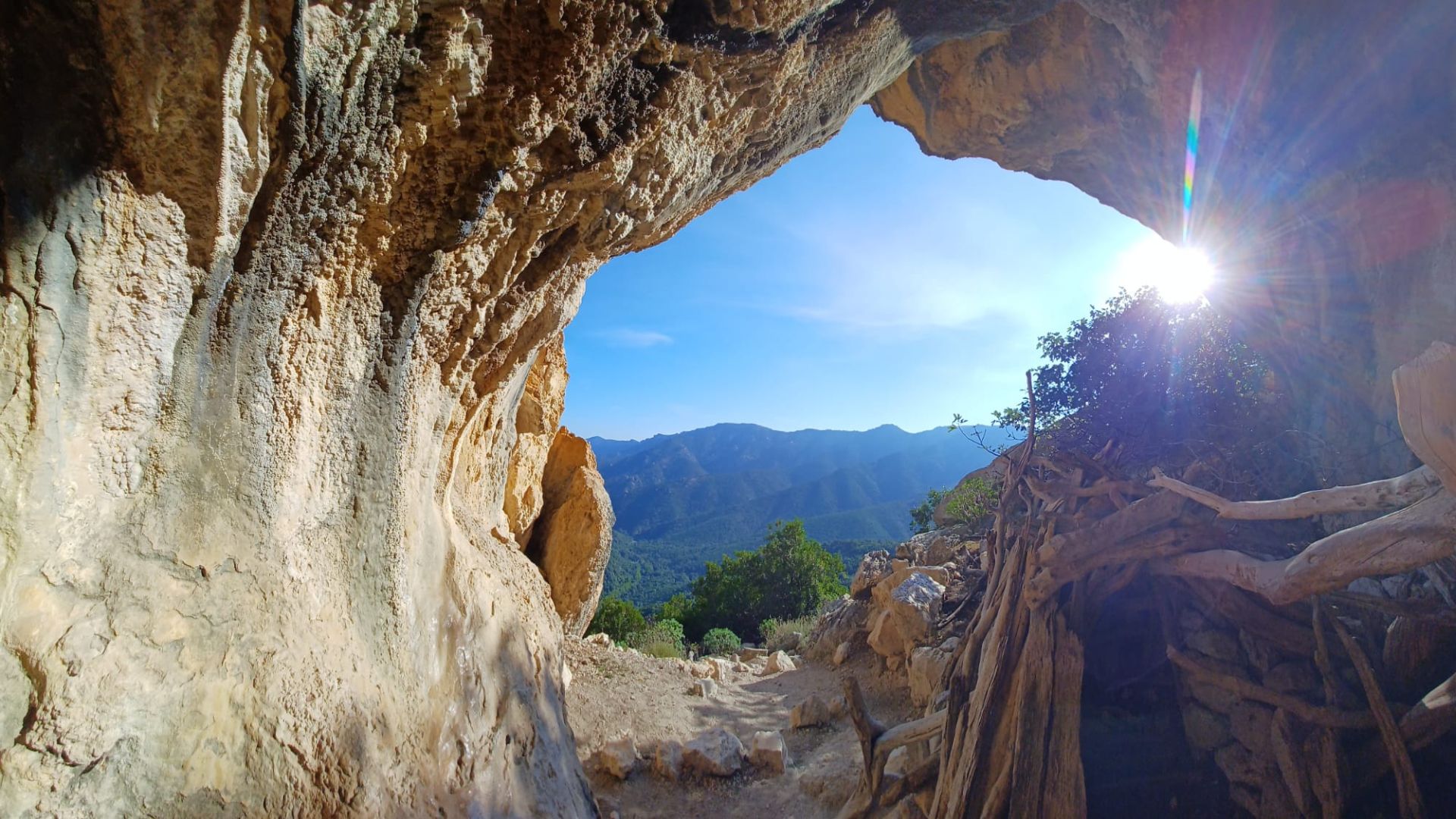 From Urzulei: trekking in the Gorropu canyon - Photo 2