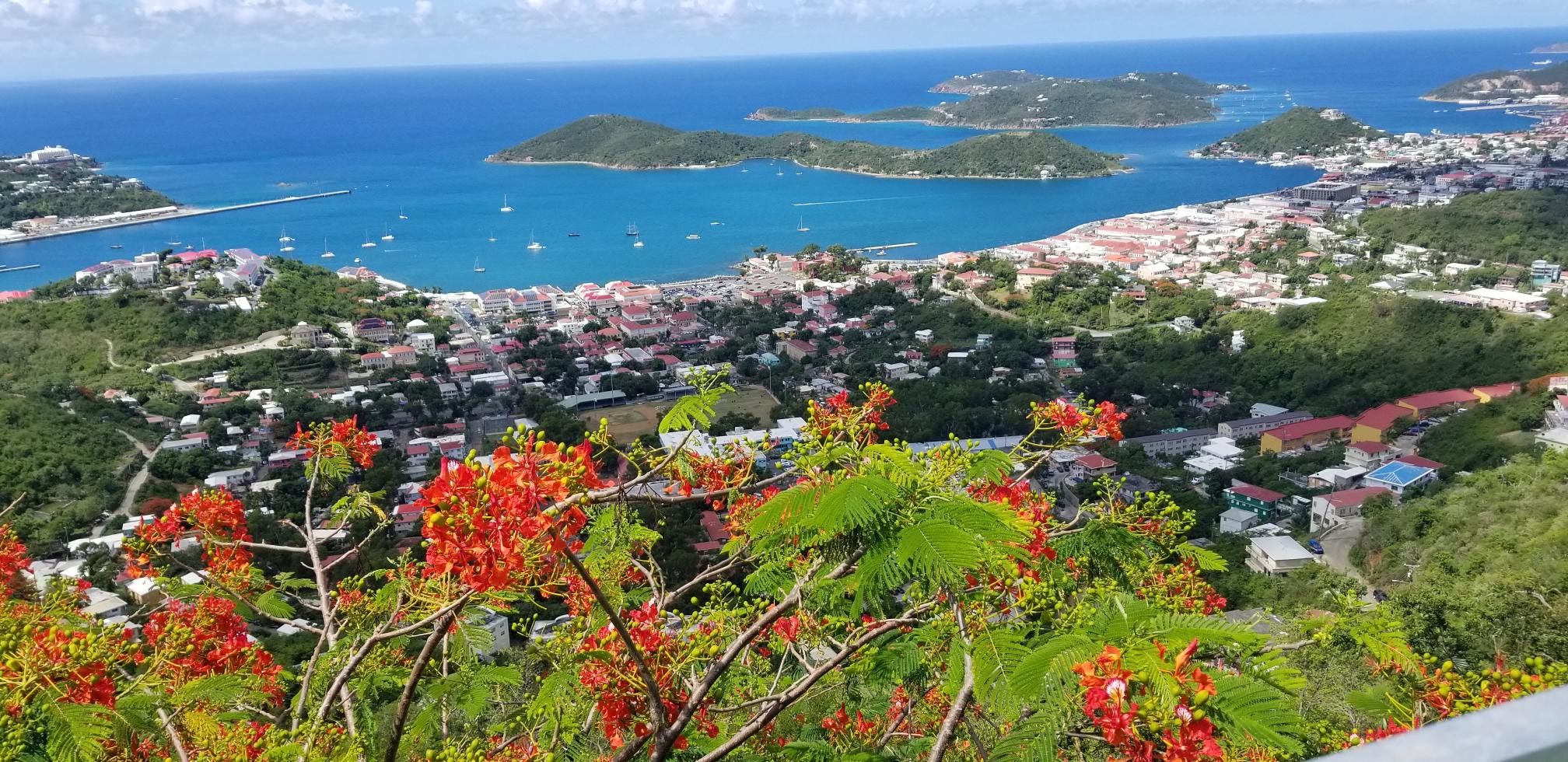 Private Island Drive with Sapphire Beach Stop 3