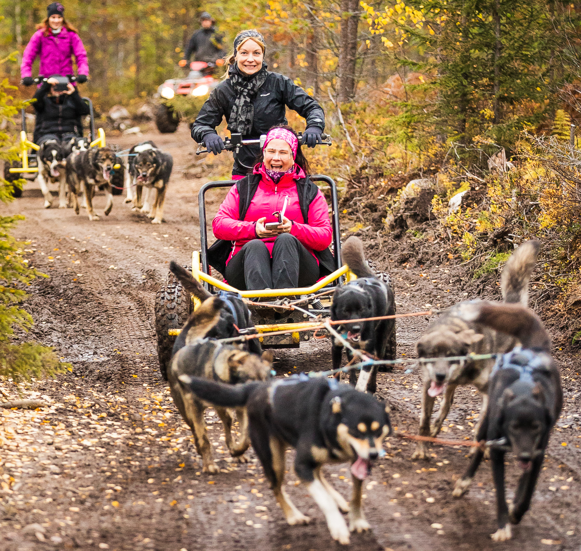 Husky Summer Adventure: Kennel Visit and Husky Ride - Rovaniemi – Image 2 | WeShare