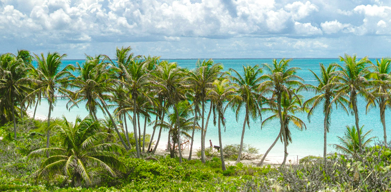 Hepsi Dahil Isla Contoy Lüks Özel Katamaran 51¨Leopard