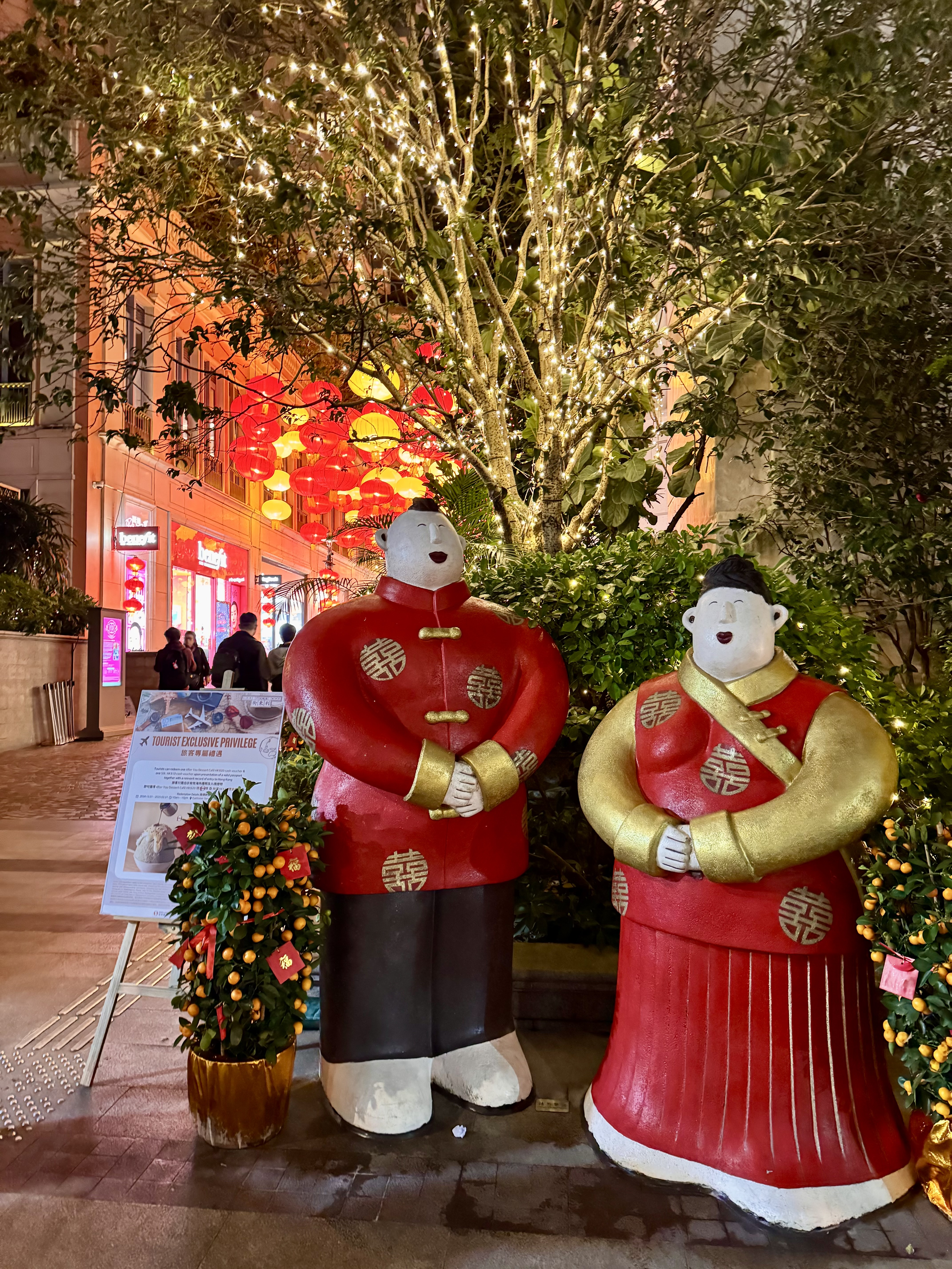 Hong Kong Night Guided Tour in Private Service - Accommodations in Hong Kong