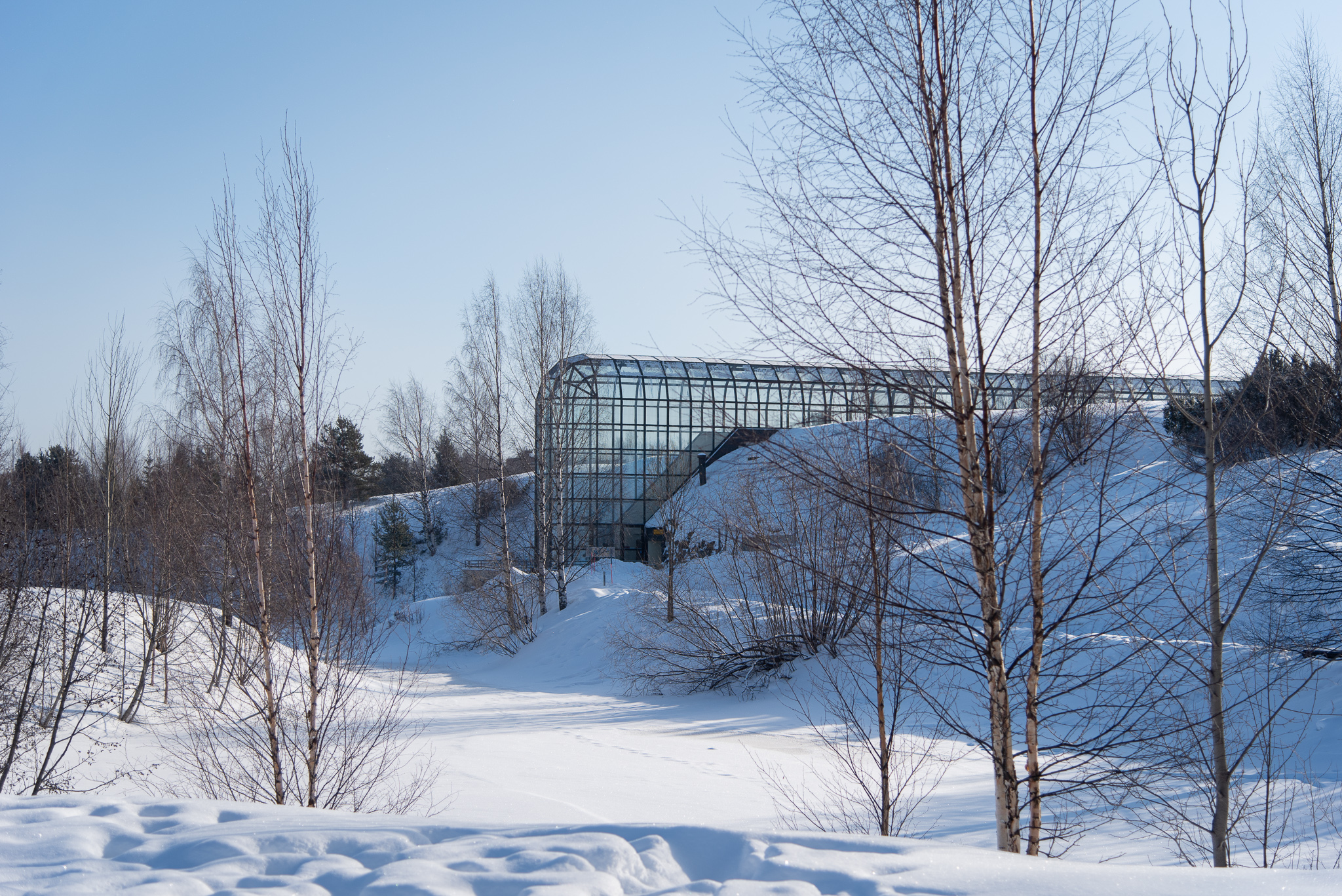 Tour por la Ciudad de Rovaniemi y Pueblo de Papa Noel en Grupo Reducido con Recogida - Alojamientos en Rovaniemi