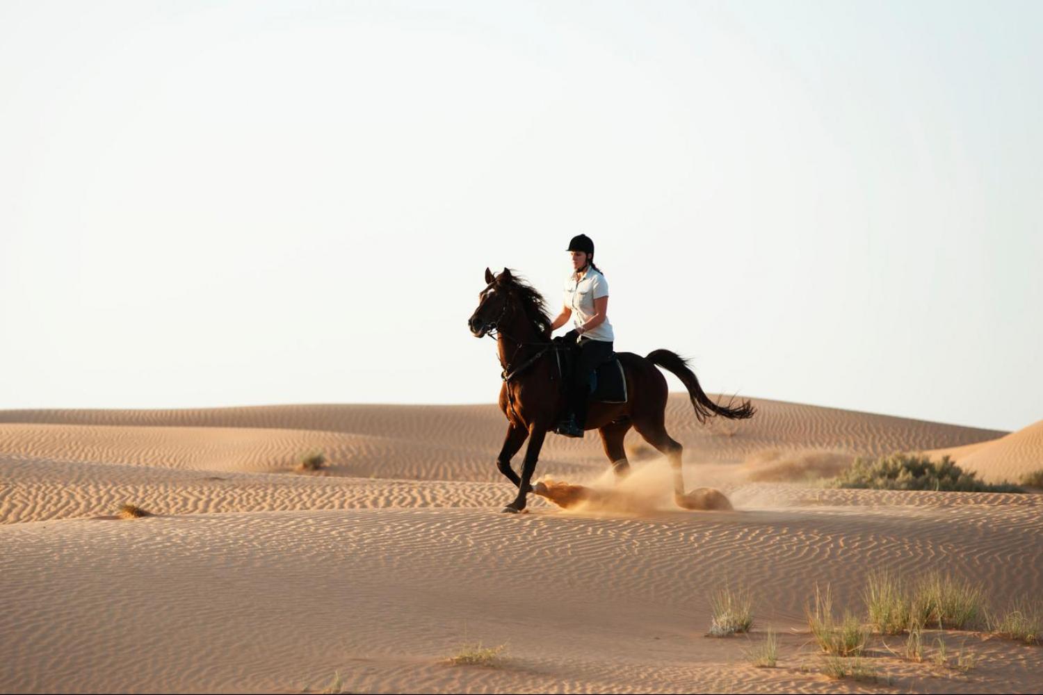 Dubai Desert Horse Riding Adventure Tour Desert Horse Riding Adventure Tour