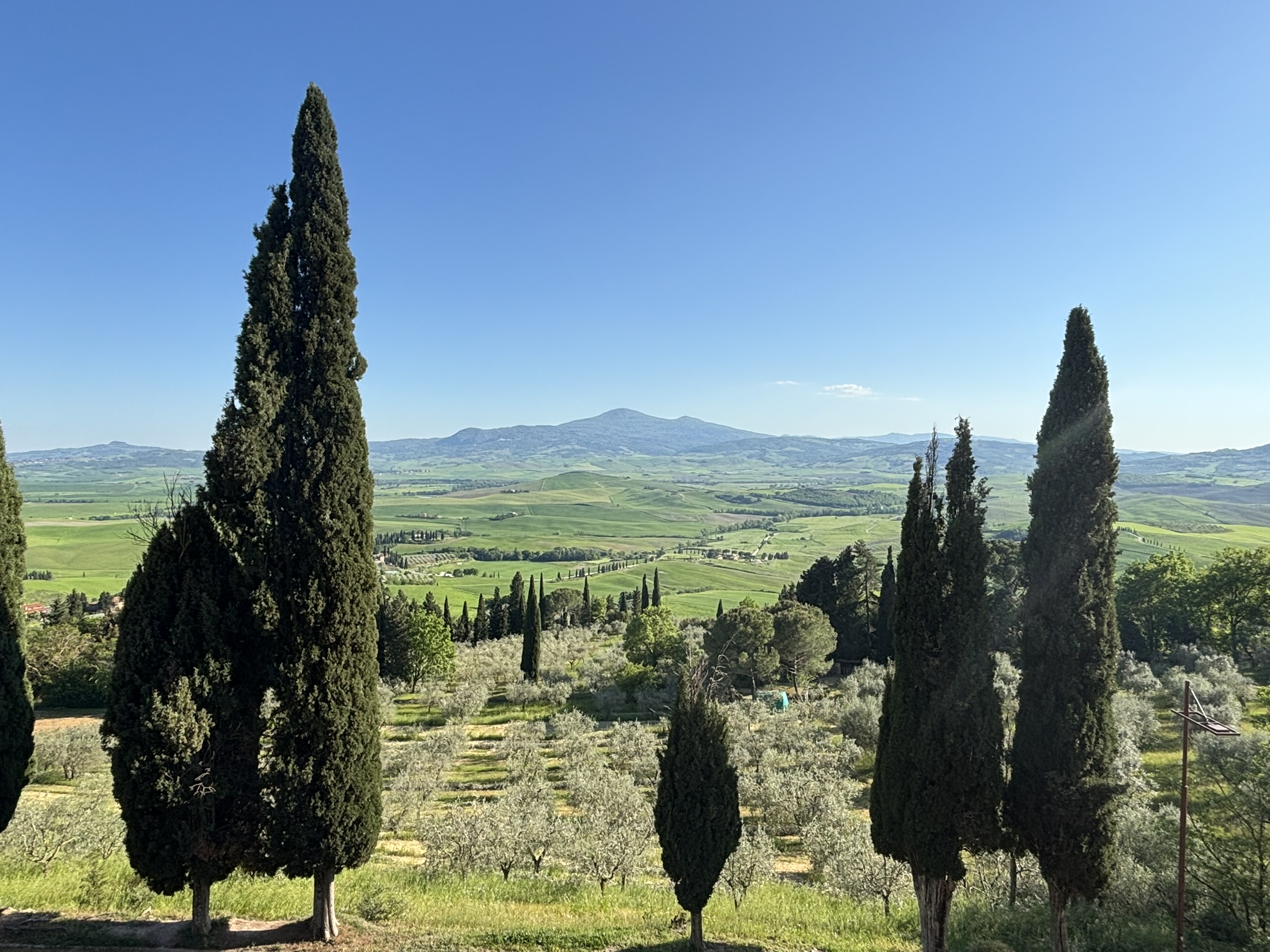 Val d’Orcia Wine Tour from Florence: Montalcino, Pienza & Brunello - Photo 16