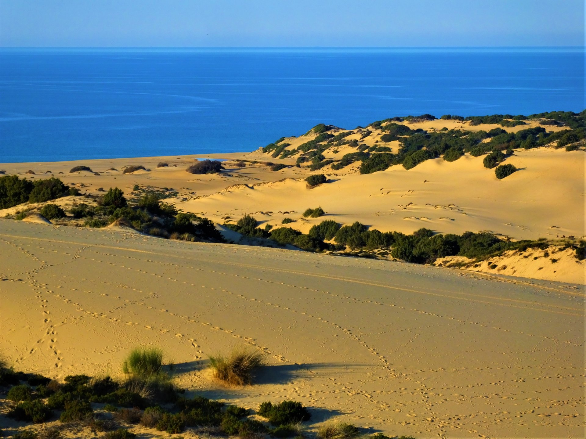 From Cagliari: guided tour through the mines and dunes of Piscinas - Photo 3