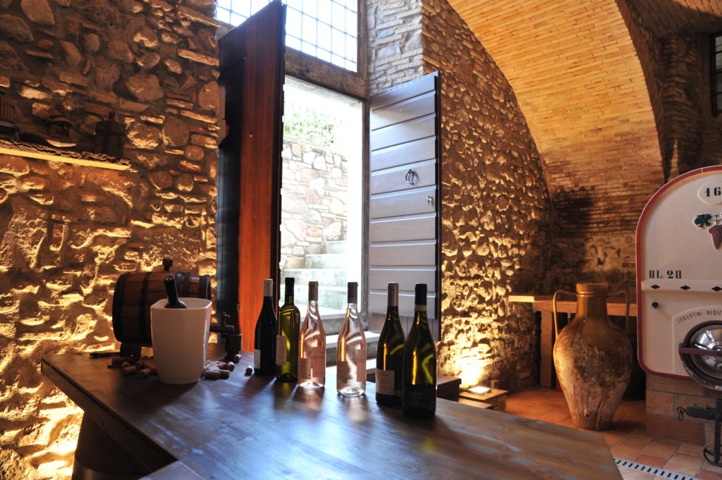 Vineyard Tour and Tasting of Lugana Wines - Photo 8