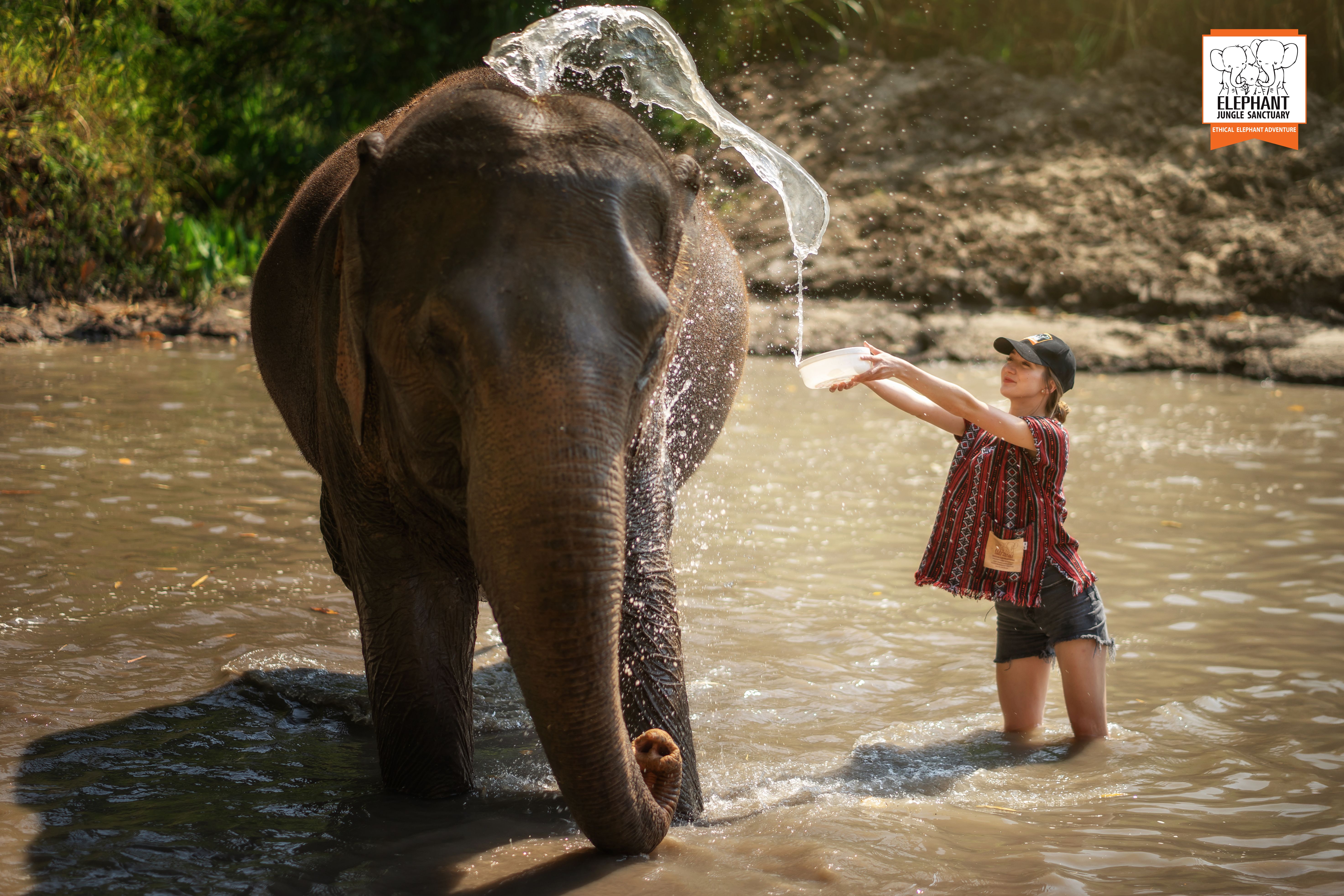 Chiang Mai: Tam Gün Deneyim