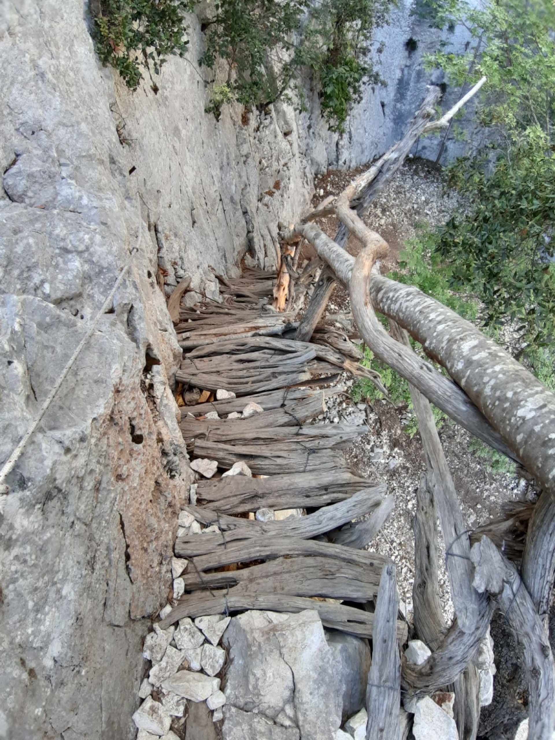 From Baunei: trekking to Cala Mariolu - Photo 5