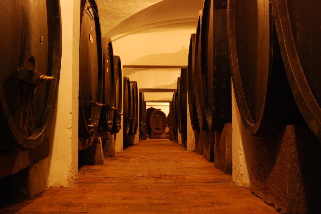 Explore Elegance: Savor 3 Exquisite Wines at Tenuta Bossi - Photo 7