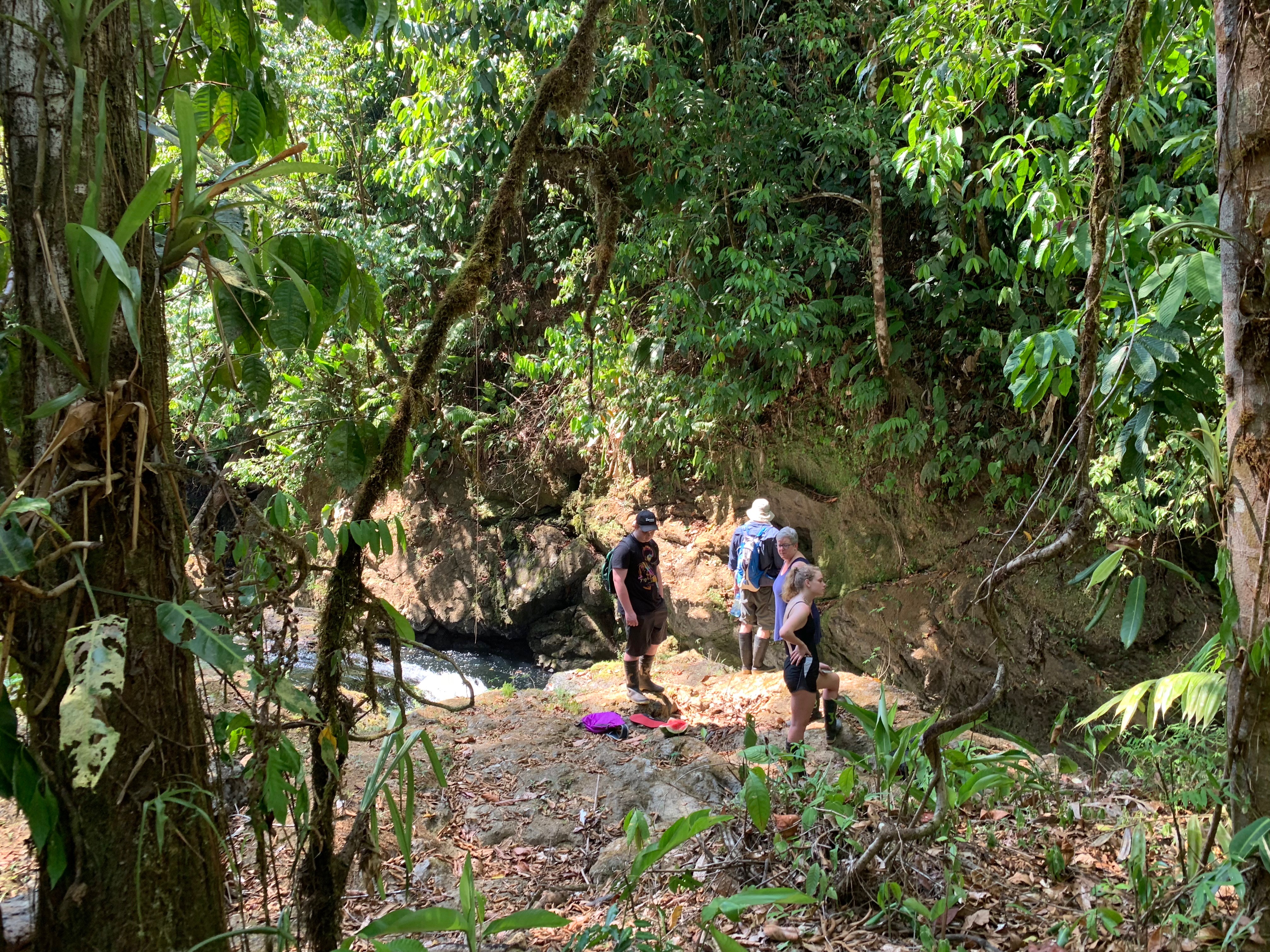 Paraiso verde Corcovado Day Tour 4