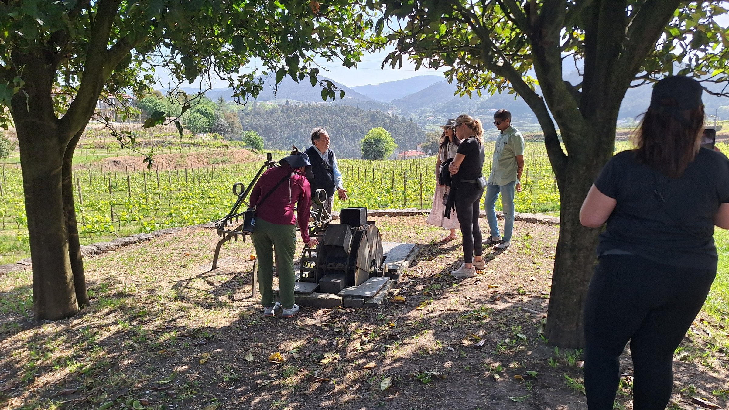 Private Paiva Walkways, 516 Bridge and Wine Tasting Tour - Photo 8