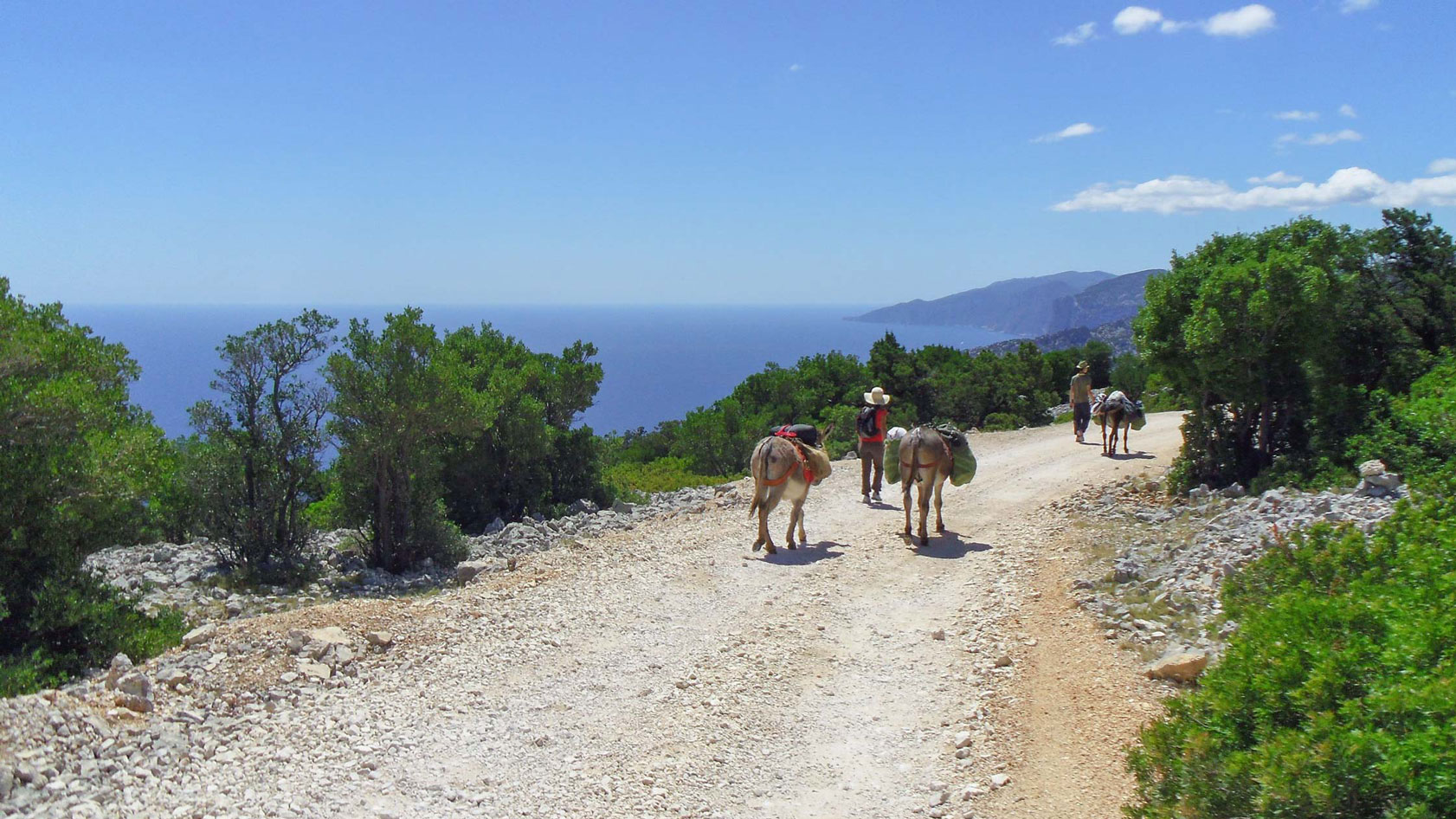 From Dorgali: 3-day donkey trekking in the Gulf of Orosei - Photo 9