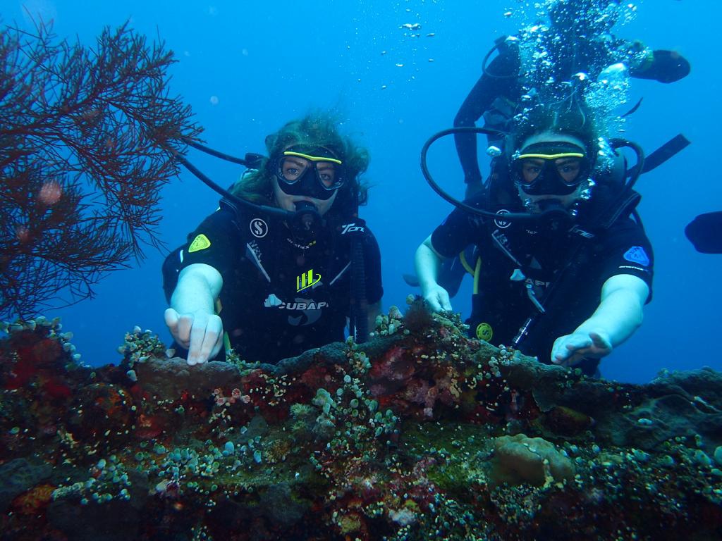 Buceo privado de experiencia guiada de 8 horas en Tulamben