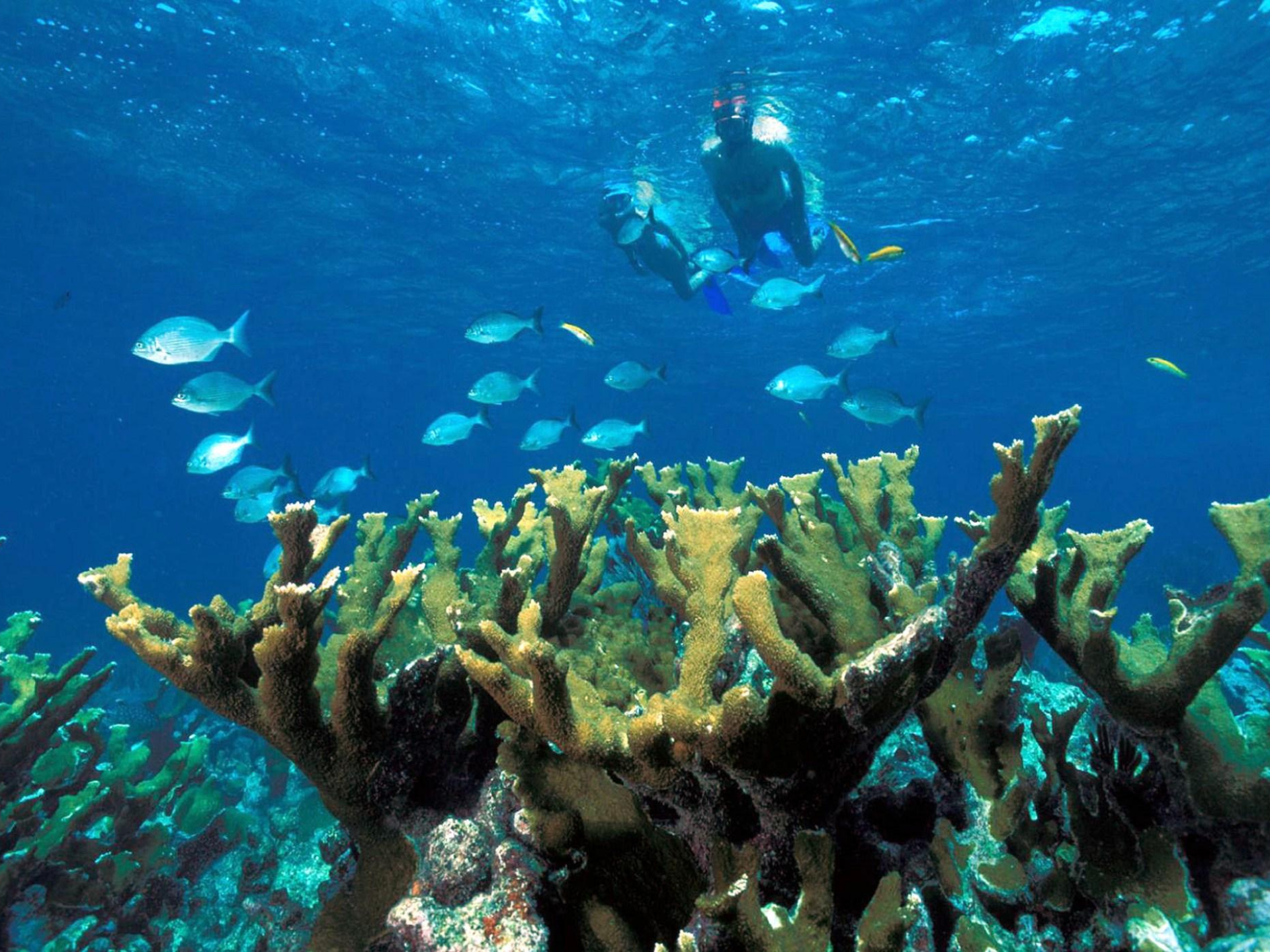 Excursión a Isla Contoy 3