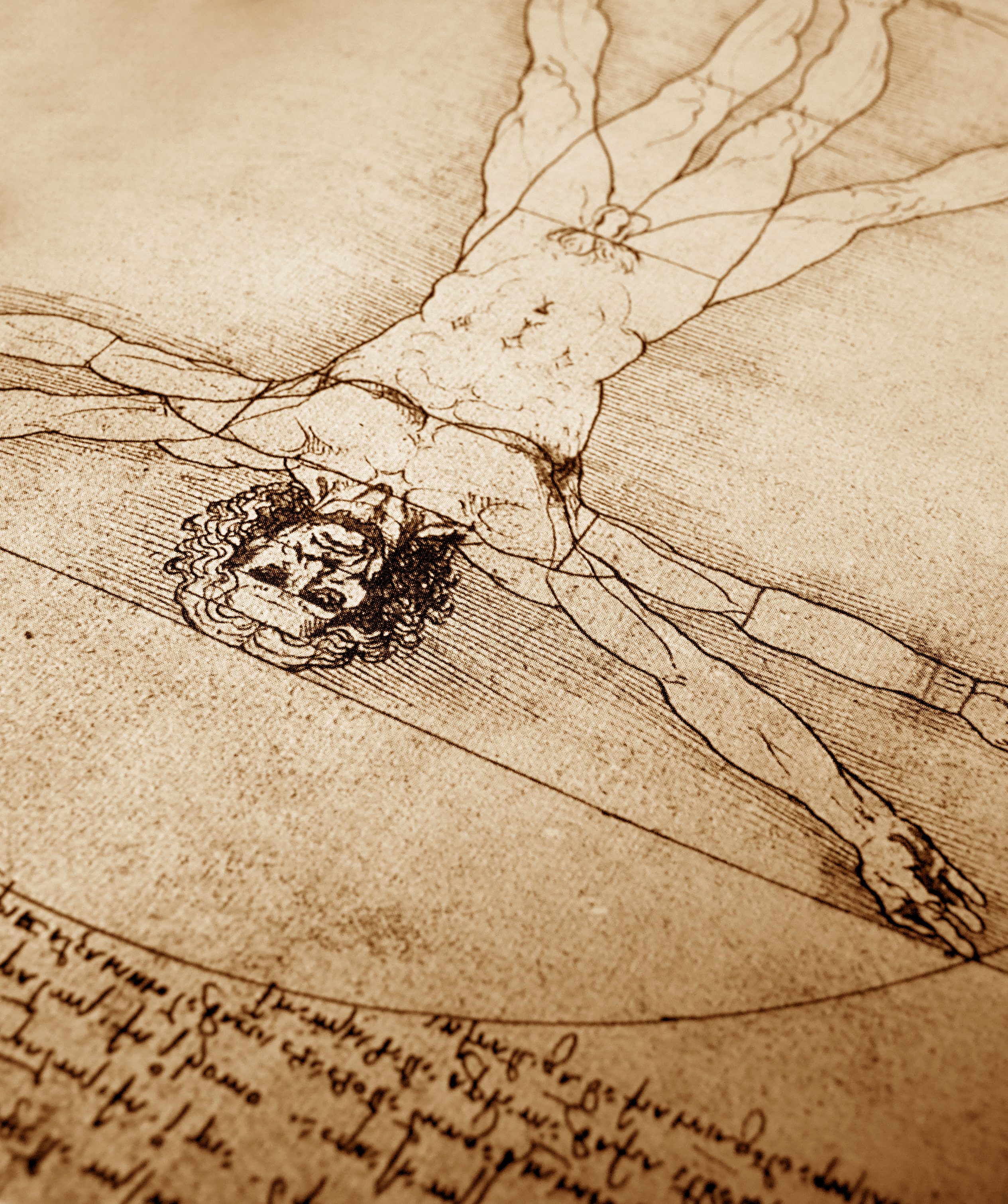 The Authentic Leonardo da Vinci Tour ES - Photo 4
