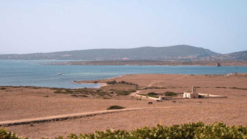 ASINARA ISLAND TOUR - Full Day (Off Road Tour in the National Park) - Photo 13
