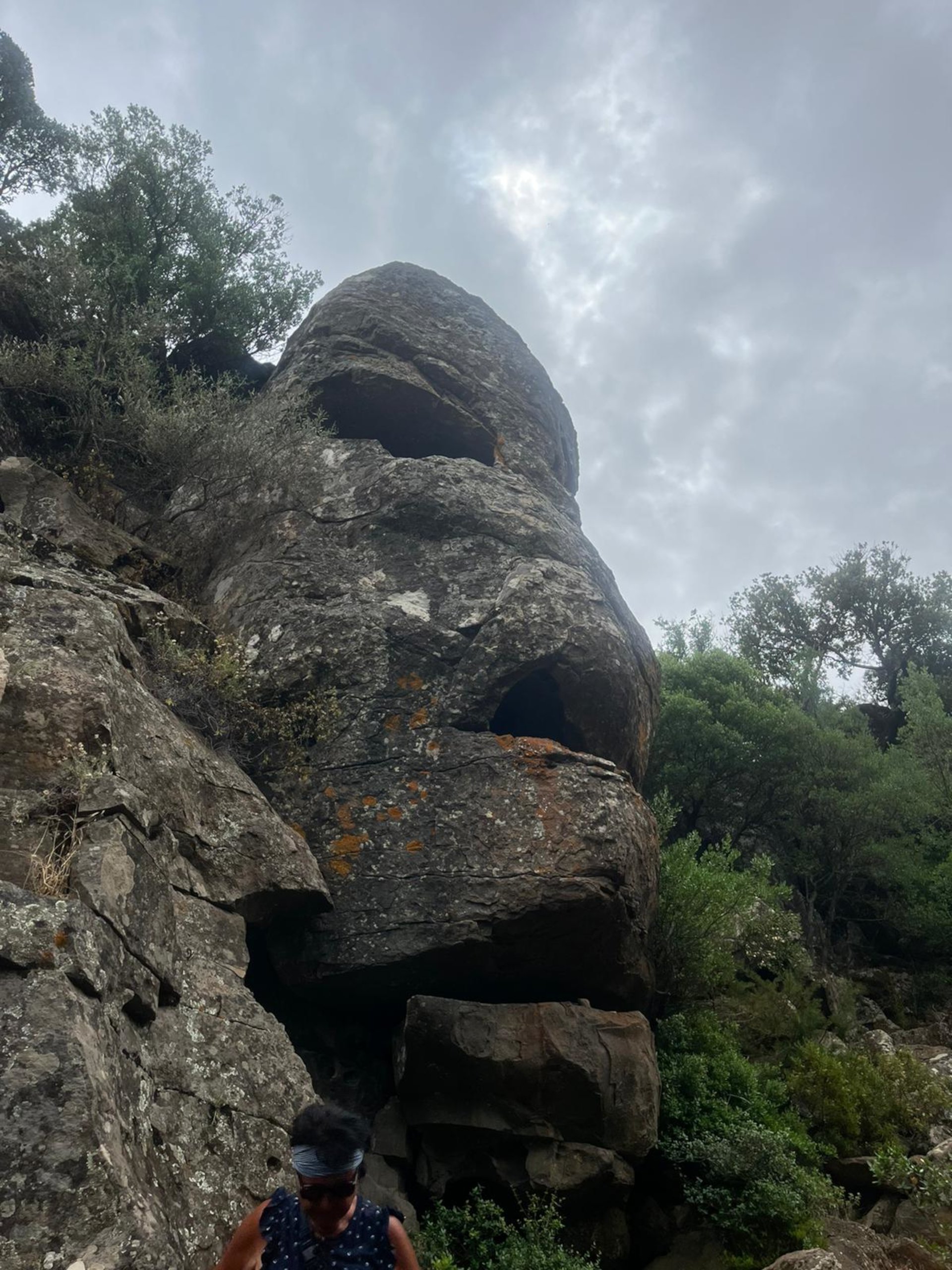 From Arbatax: 4-hour jeep tour of the Golgo Plateau in Baunei - Photo 5