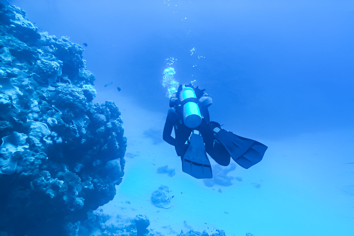 Full-Day Diving Trip in Hurghada - 5