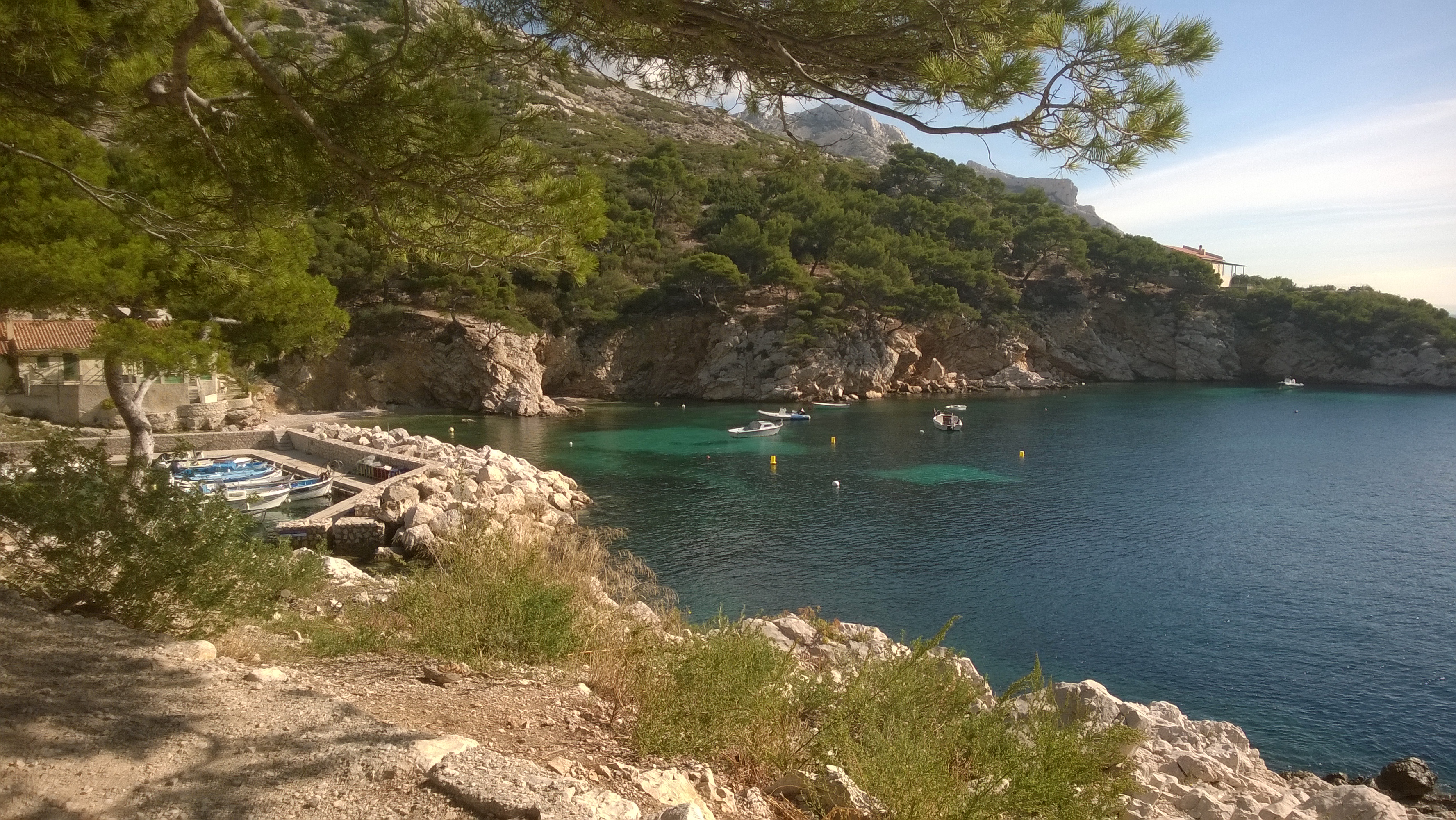 Hike with a Calanque expert - Photo 4