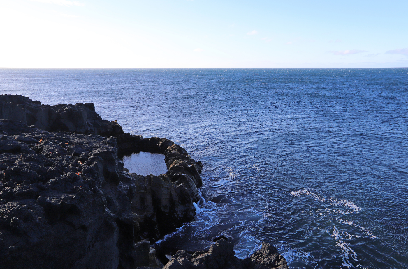 Private Tour with Airport or Hotel Transfers: Explore the Reykjanes Peninsula UNESCO Global Geopark - Eric - photo 8