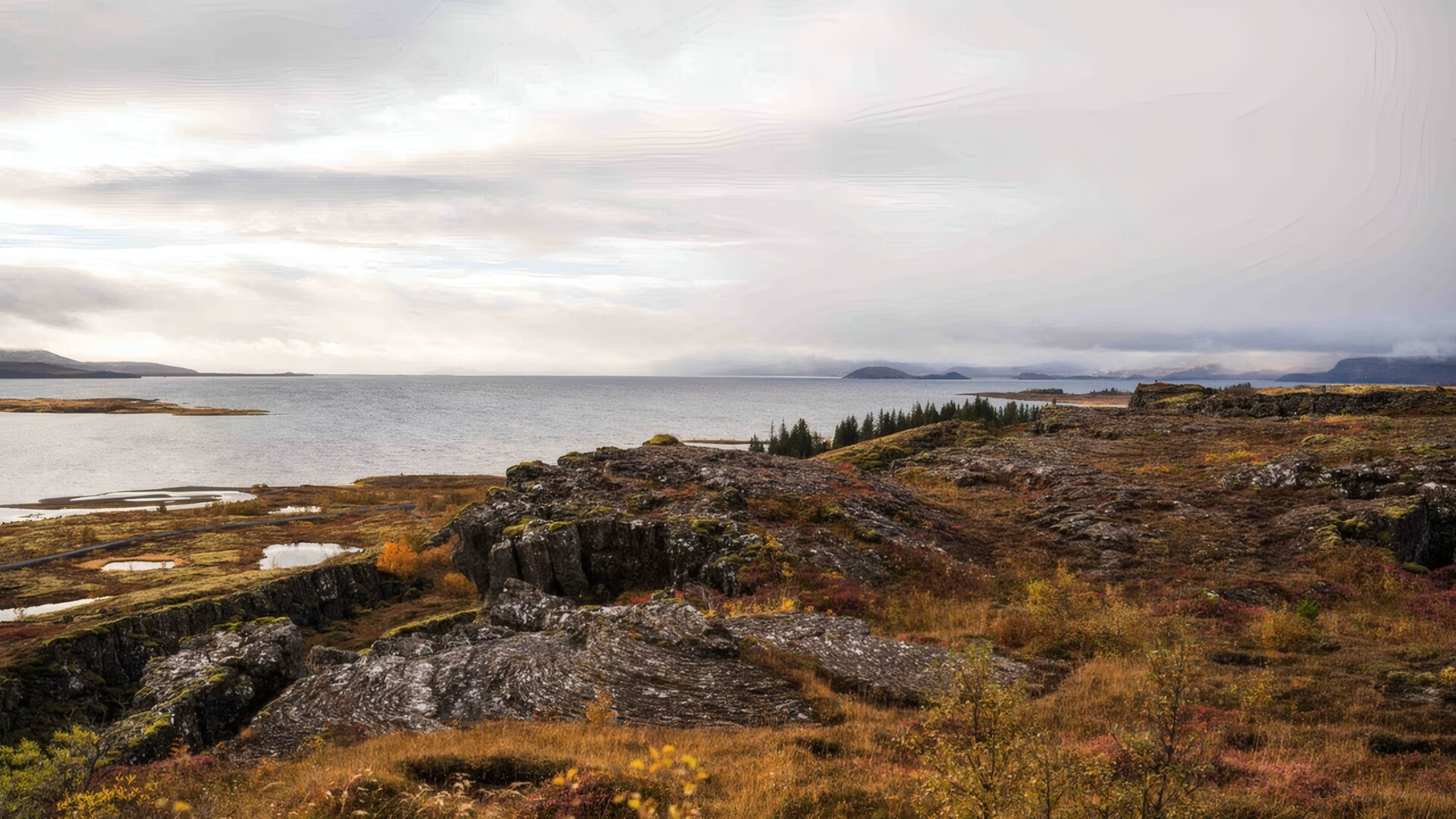 Golden Circle Day Tour with Friðheimar Farm - photo 14