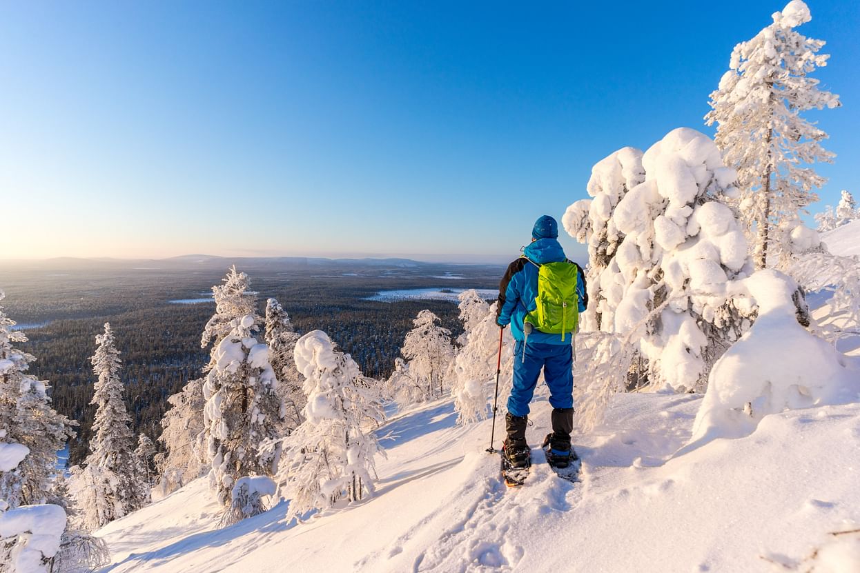 Excursión en Raquetas de Nieve con Recogida en Grupo Reducido - Alojamientos en Rovaniemi