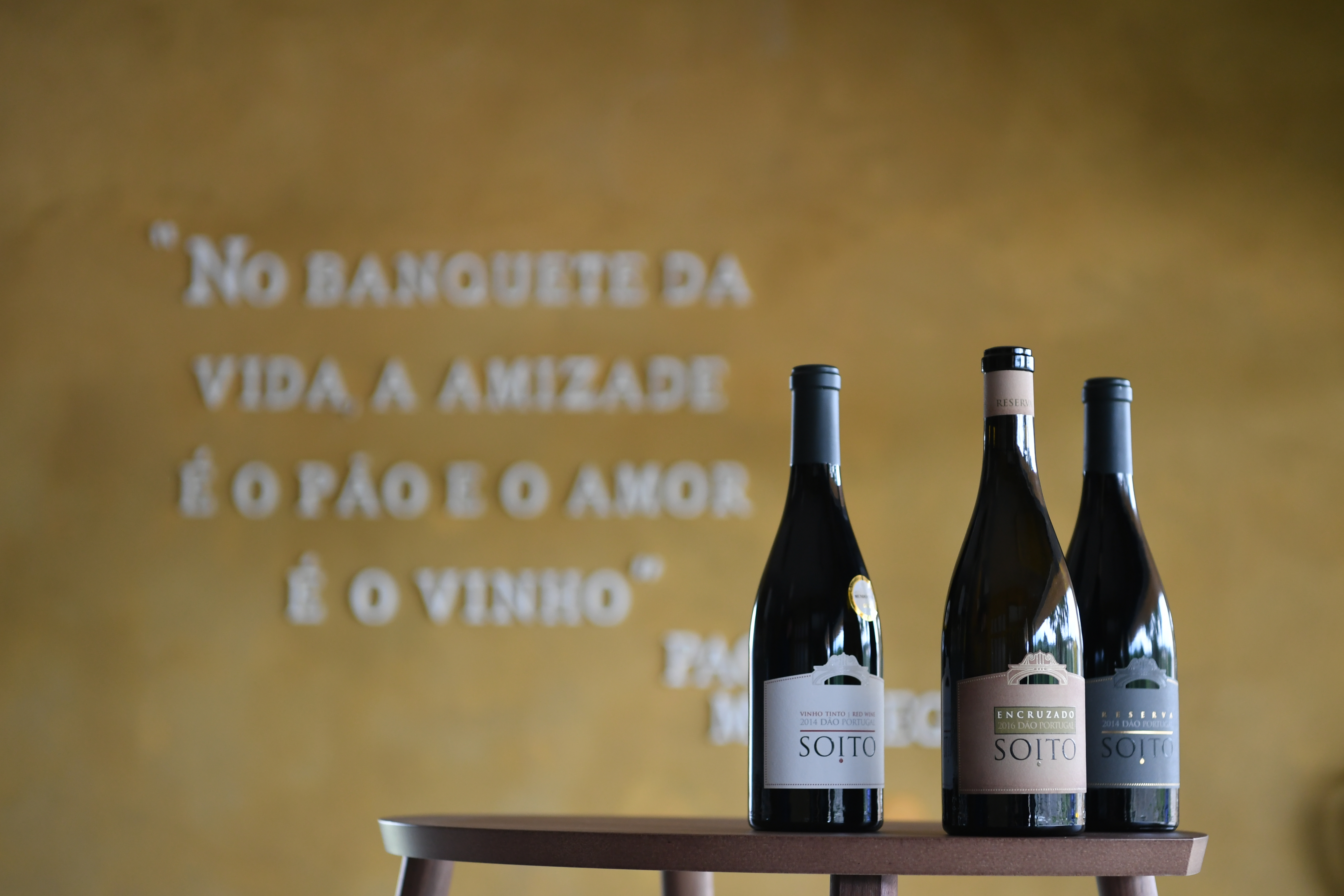 Private Dão Wine Region, Serra da Estrela Cheese & Viseu from Porto - Photo 51