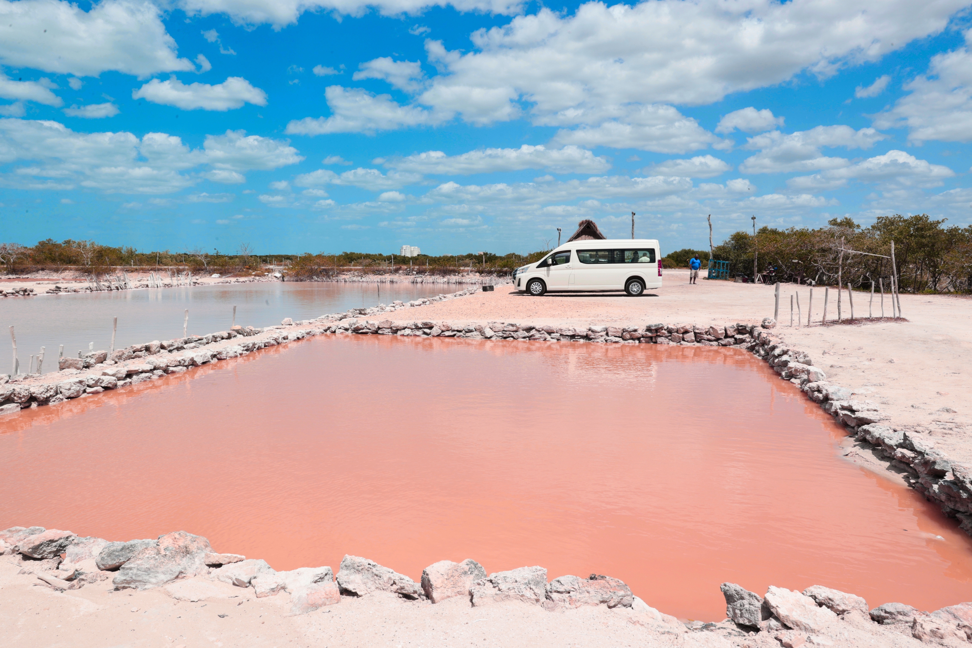 Yucatan Discovery: Motul, Hacienda, Xcambo, Xtampu & Progreso — 6/17