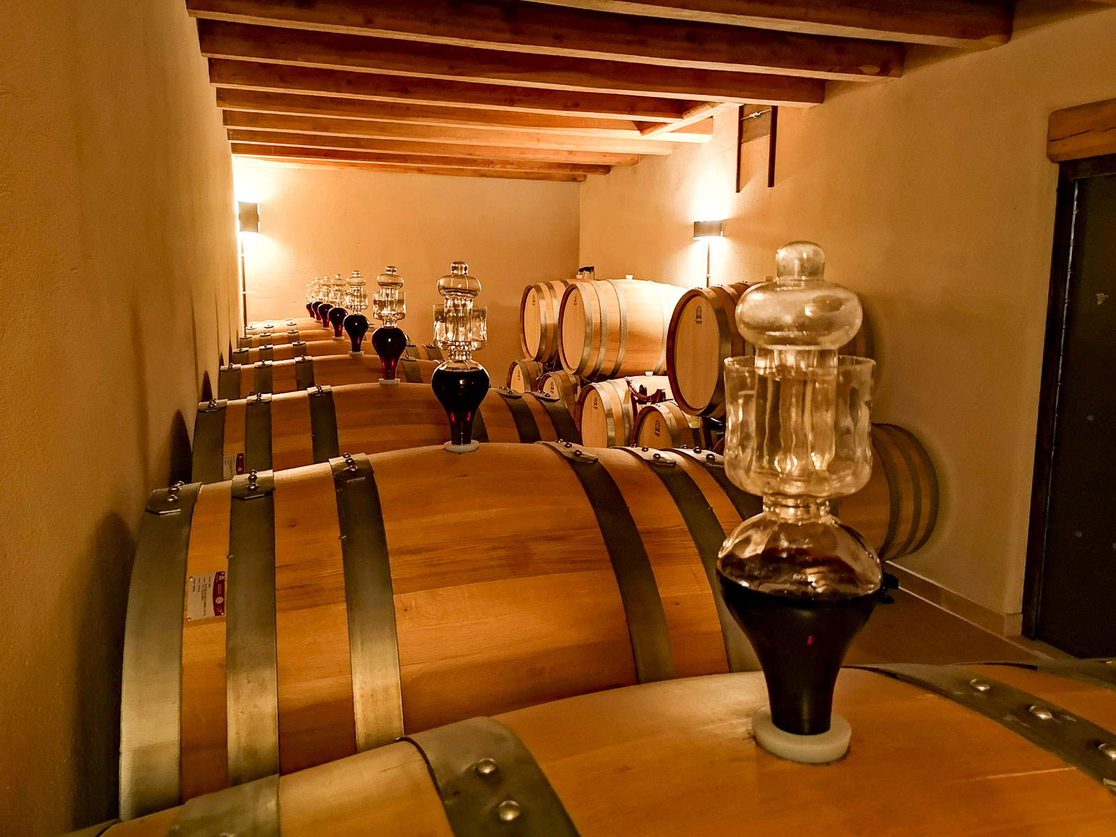 Wine tour and Tasting in a small Estate on Valpolicella Hills - Photo 11