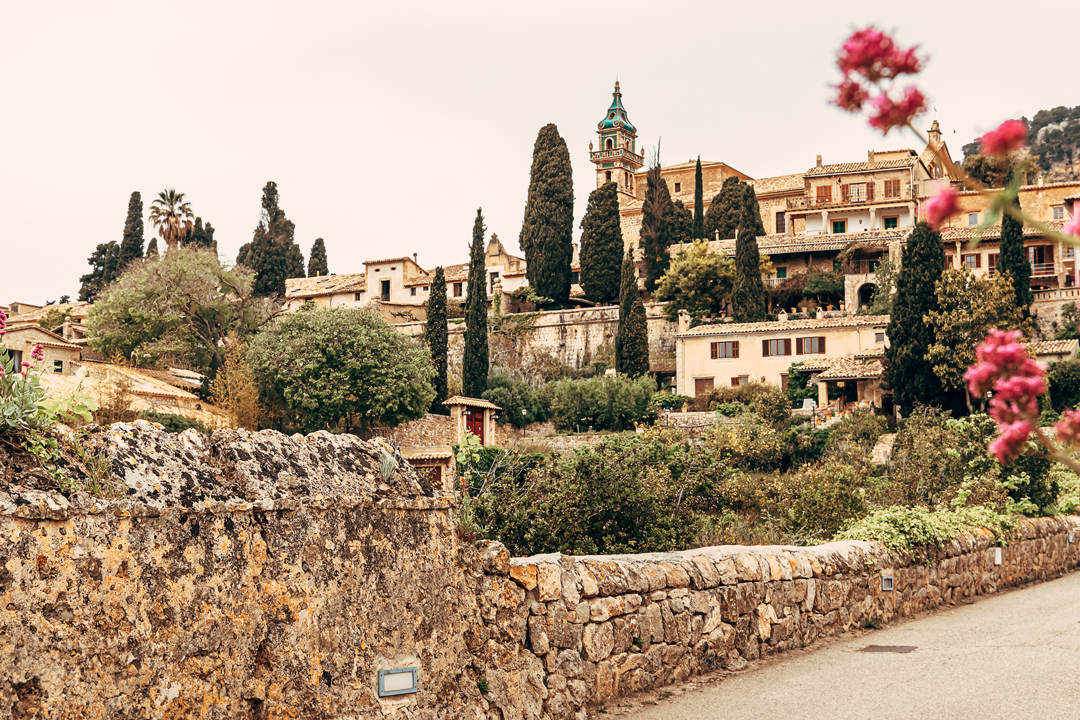 Valldemossa and Mallorcan Wine Tasting in small group