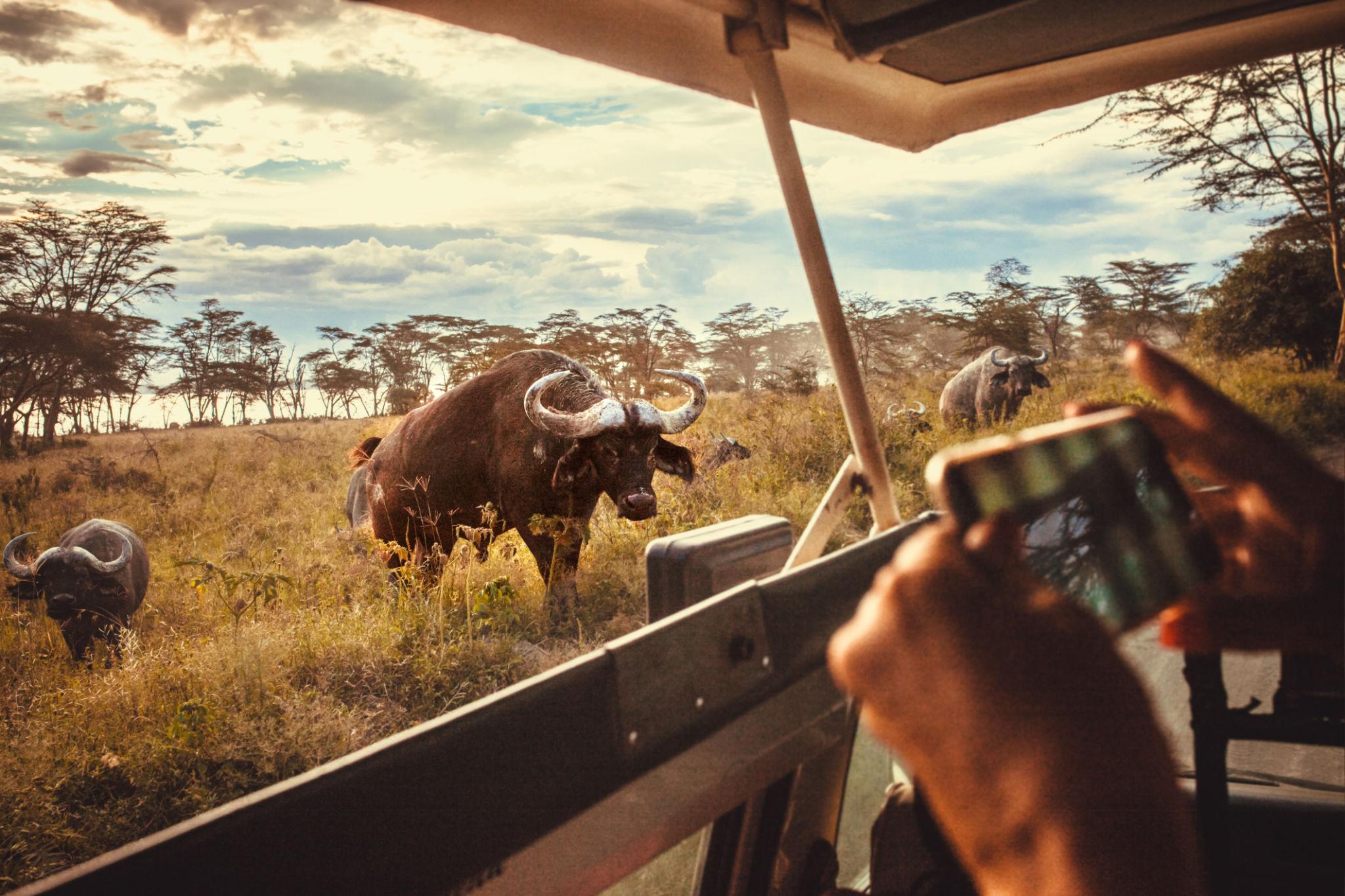 10 Day Kenya Safari Beyond the Ordinary – Big Five, Lakes & Wild Frontiers – photo 4