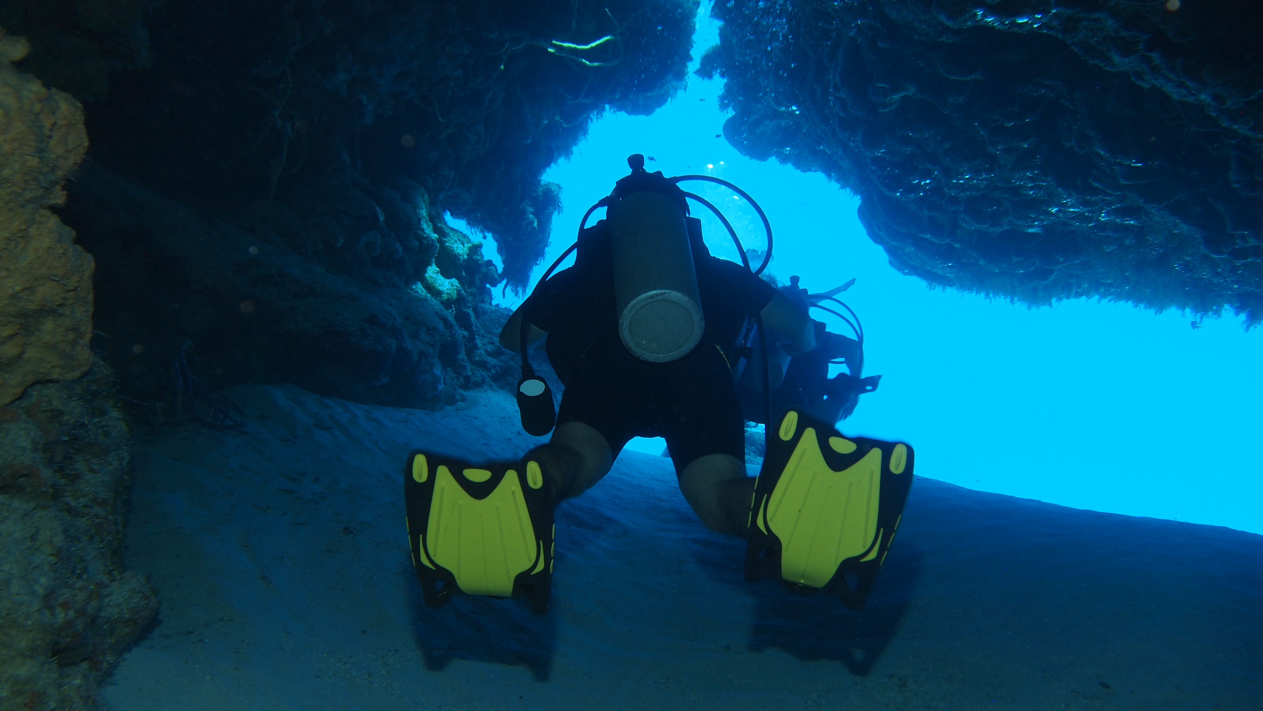 Her Şey Dahil Cancún: Dalış & Yat 51¨Leopard Ofis 10 saat