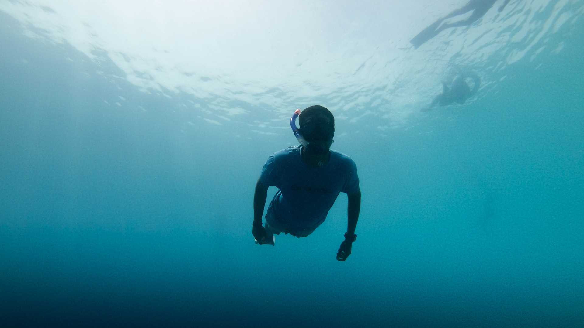 Cala Gonone: snorkeling in the Orosei Gulf - Photo 7
