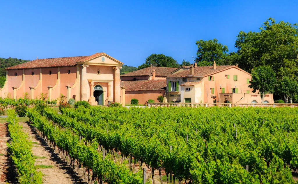 The vineyards of the Coteaux d'Aix-en-Provence and the Sainte-Victoire Mountain - Photo 3