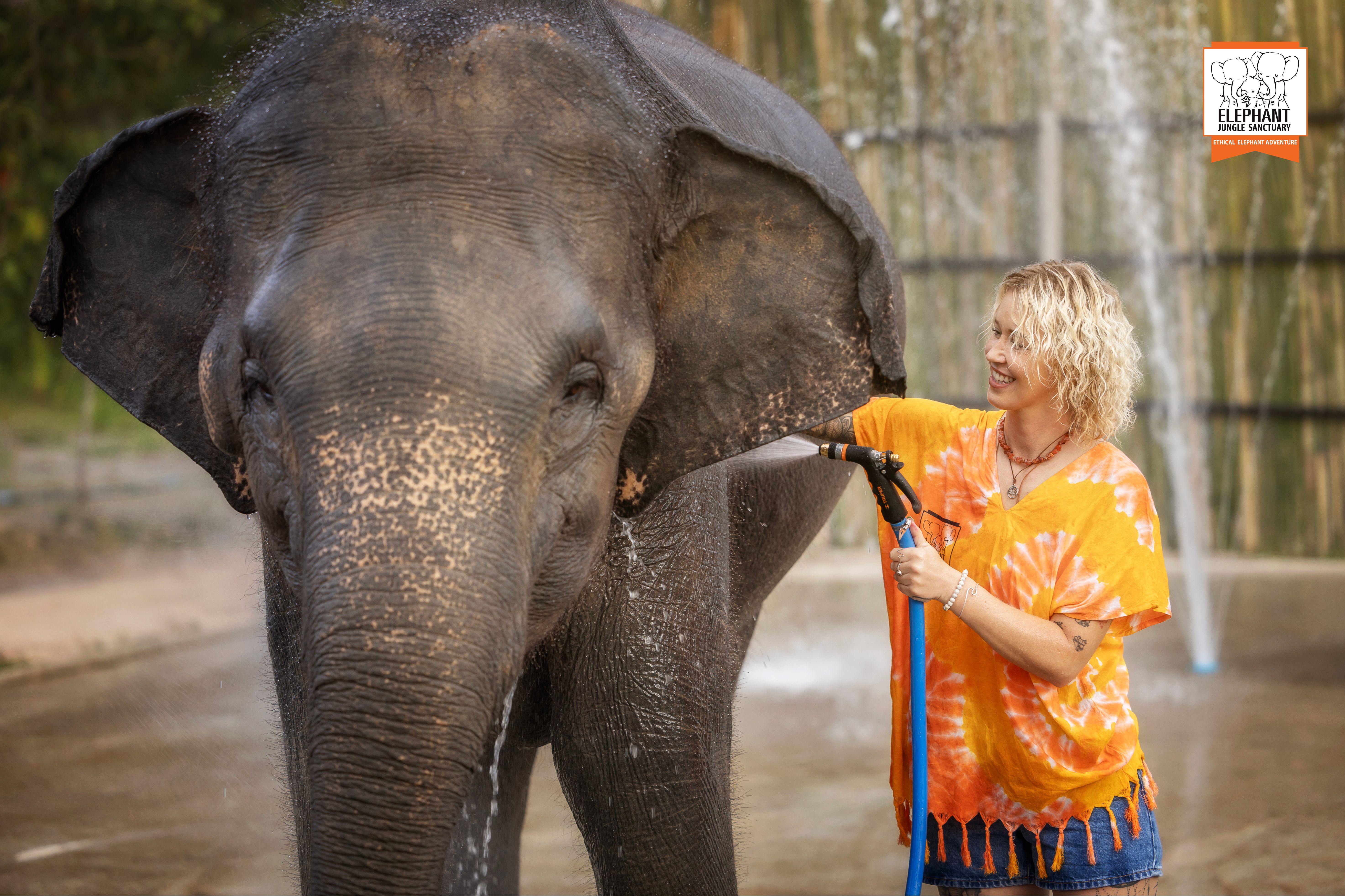 Chiang Mai: Beslenme ve Duş Deneyimi